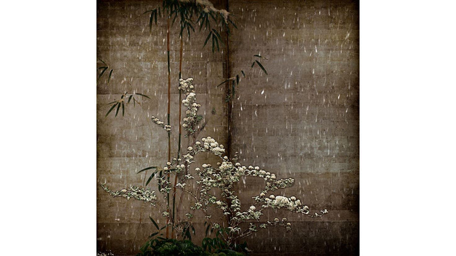 小瀬村真美　四季草花図 - 冬　Flowering Plants of the Four Seasons - Winter　2006