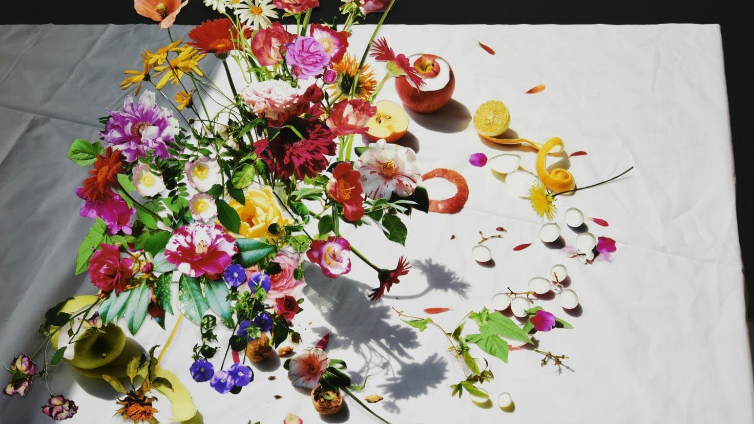 池田衆　Still Life#3　2019　cut-out photograph, mounted on acrylic　77×107cm　Courtesy of the artist and Maki Fine Arts