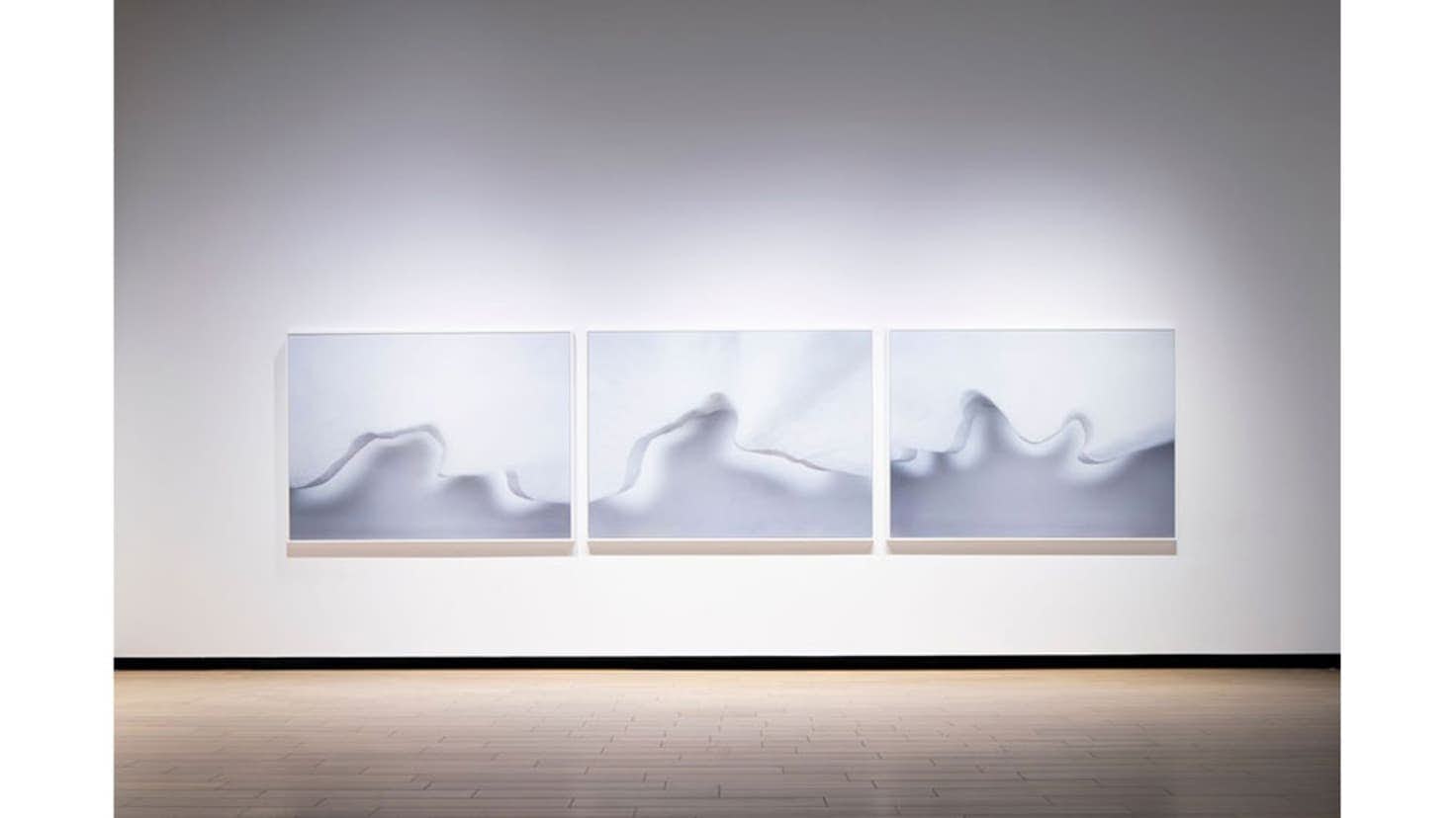 バウハウスデッサウ BAUHAUS DESSAU 瀧本幹也 - 古本買取販売
