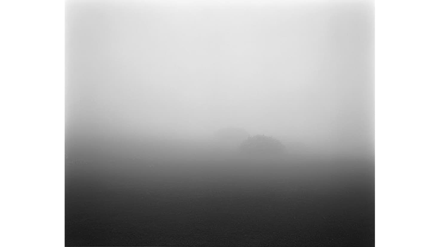 藤井保　FOGGY ISLAND OSHIMAⅠ　2013