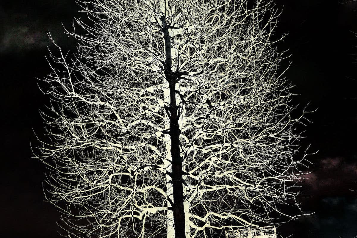 川田喜久治「ロス・カプリチョス 遠近」（PGI）｜美術手帖