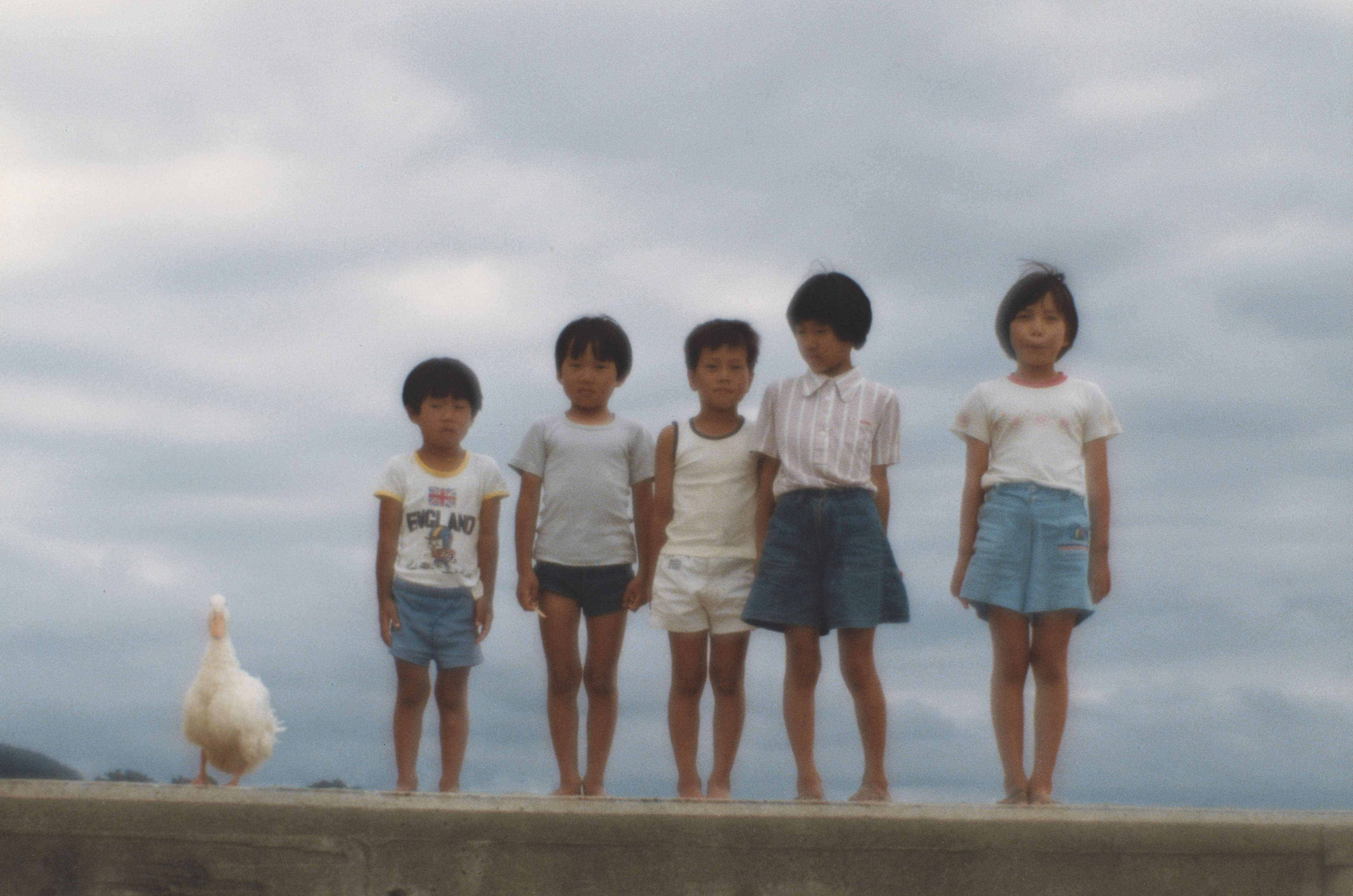 2022セールベス単写真帖 白い風 植田正治 : Shoji Ueda 直筆サイン入り