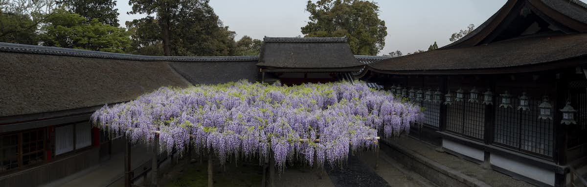 杉本博司－春日神霊の御生 御蓋山そして江之浦（春日大社 国宝殿 