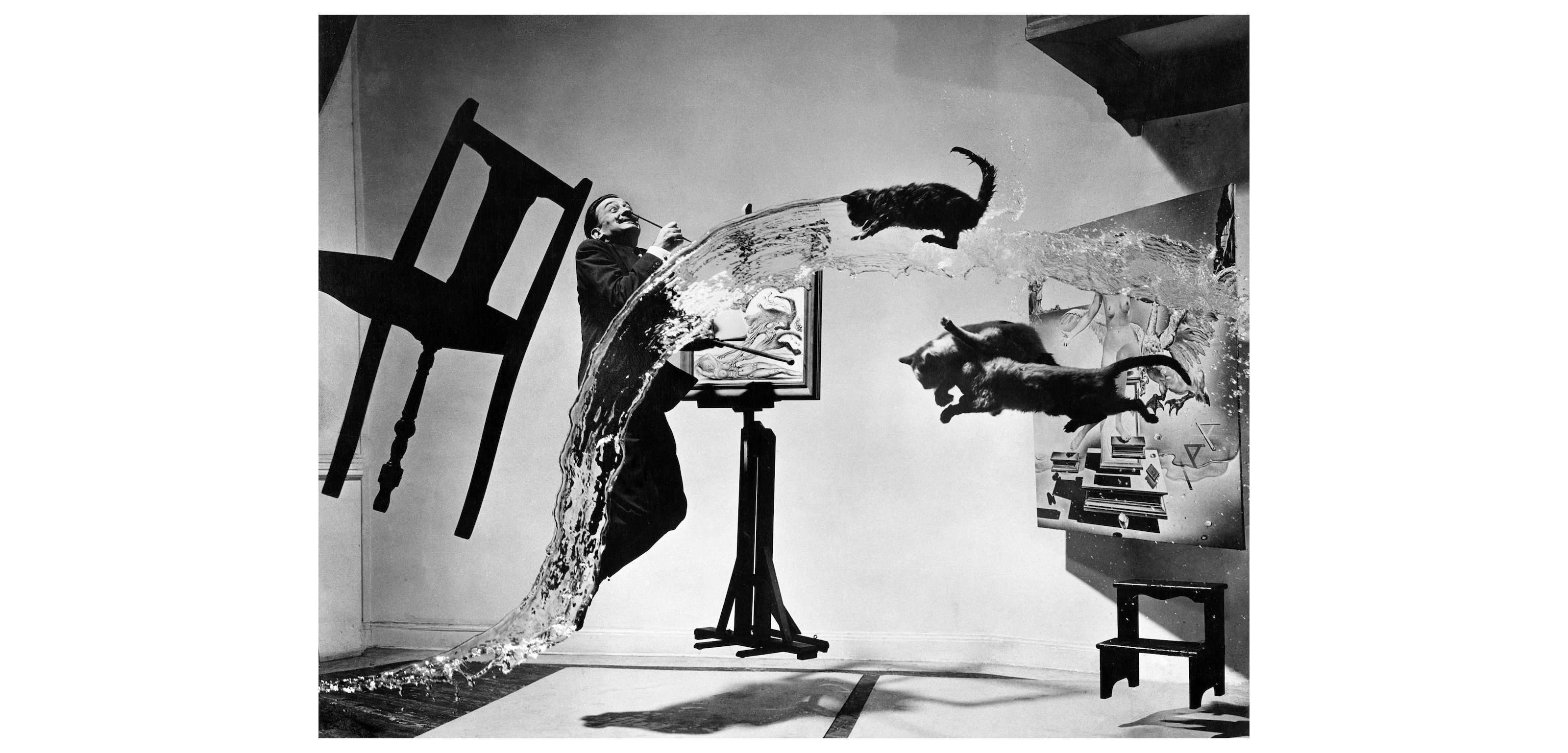 ダリとハルスマン（諸橋近代美術館）｜美術手帖