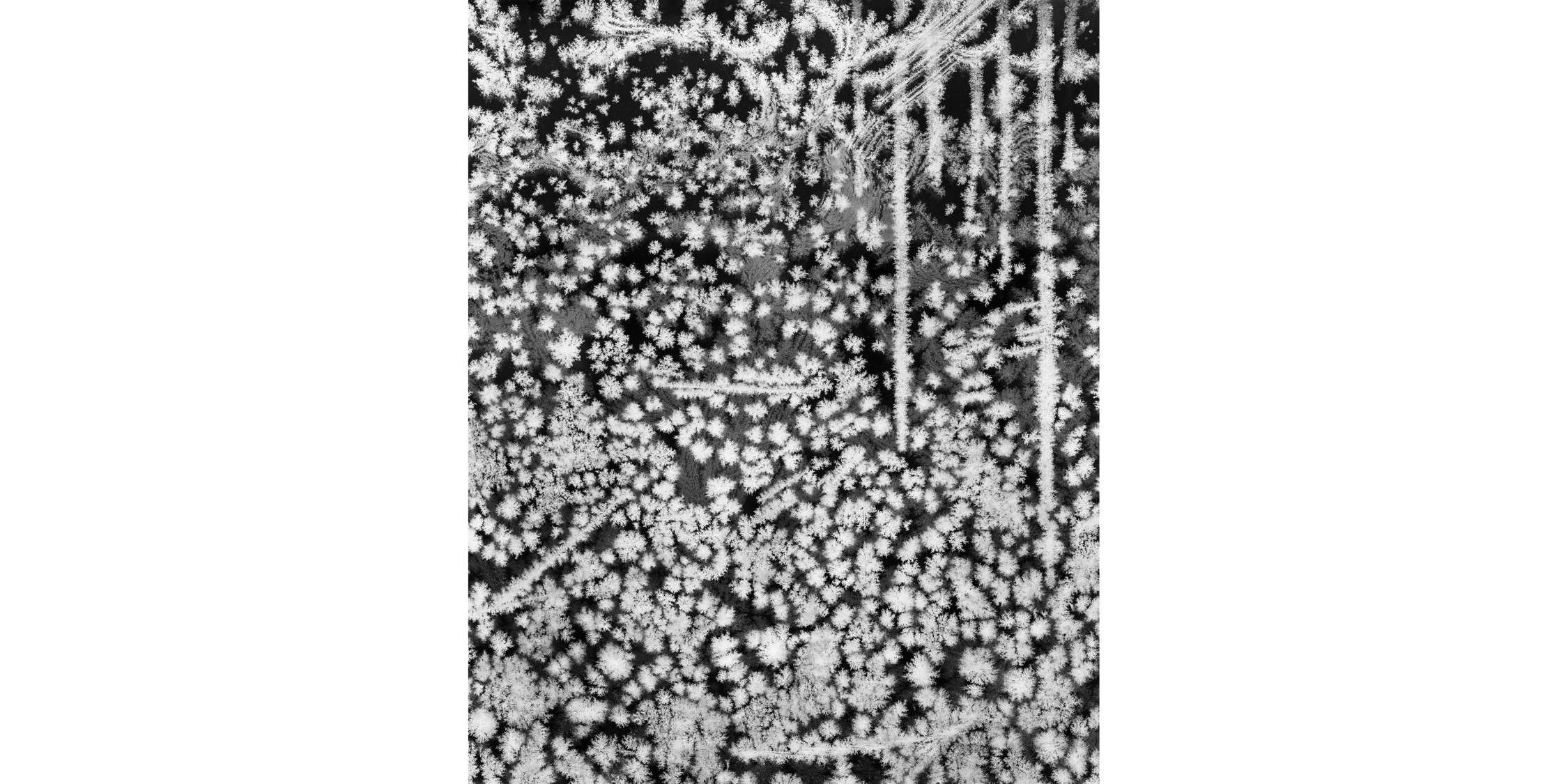 米田知子 記憶と不確実さの彼方 図録/写真集 米田知子 記憶と不確実さの彼方 図録/写真集 - メルカリ