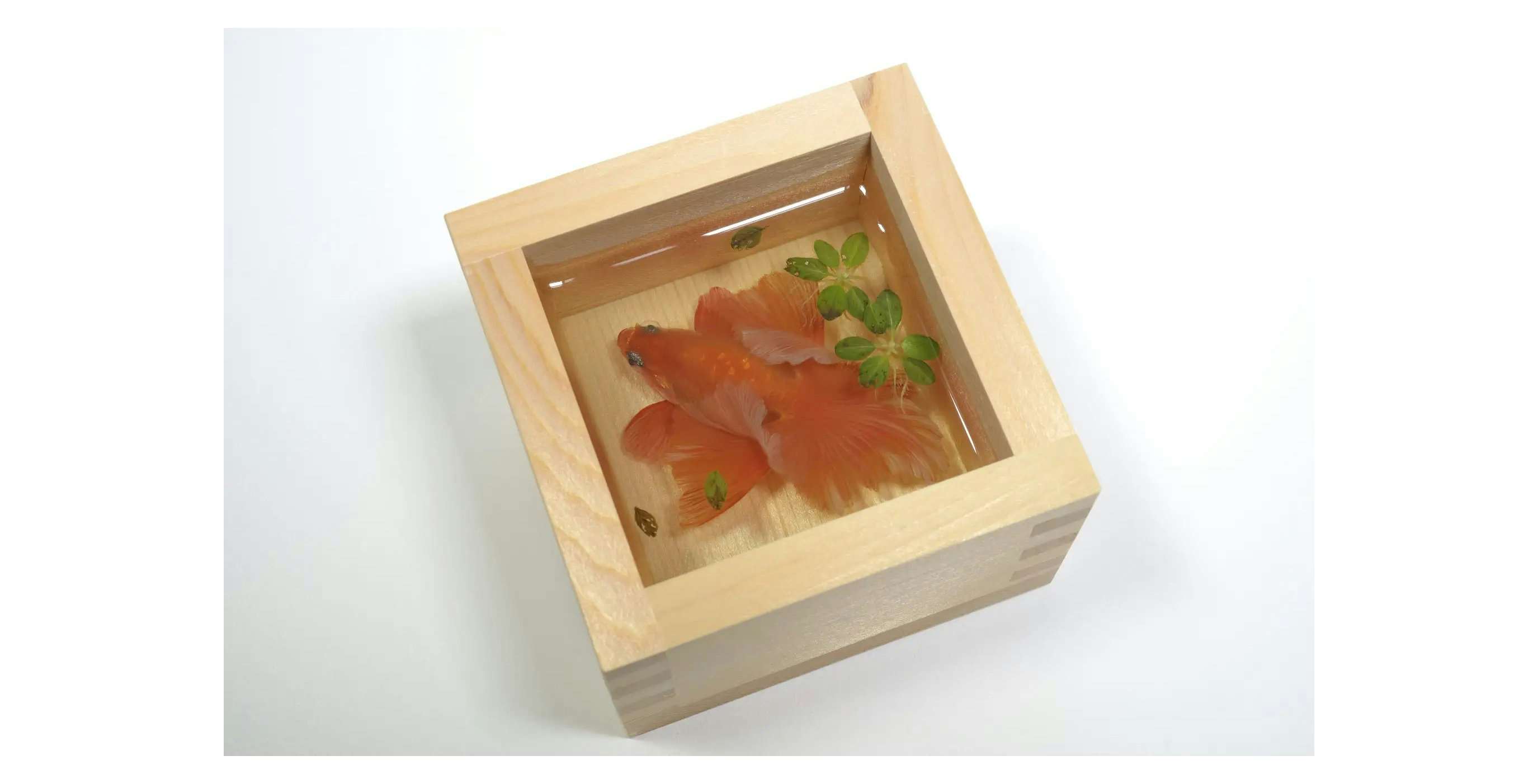 深堀隆介 金魚酒 五勺枡 直筆サイン 共箱 2004年 現代アート 真作保証 金魚酒 | 芸術新聞社公式サイト