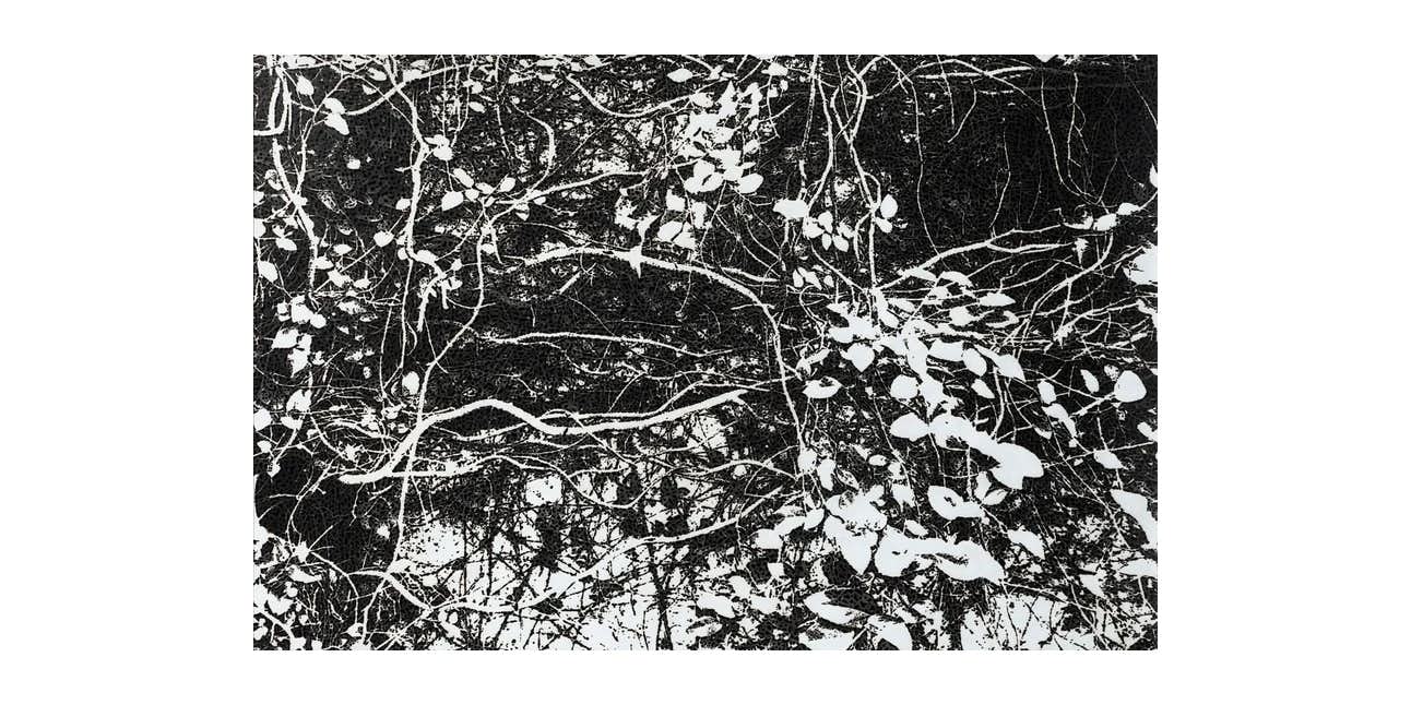 市川孝典「DELUSIONAL murmur (#003)」(Gallery COMMON)|美術手帖 市川孝典「DELUSIONAL murmur (#003)」(Gallery COMMON)|美術手帖