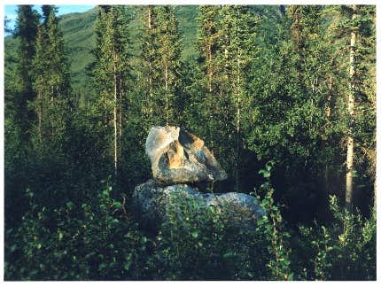 PIPELINE ALASKA 石塚元太良写真集 筒型限定 筒型限定版 PIPELINE ALASKA / 石塚元太良(Gentaro Ishizuka)