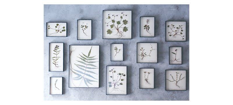 モリソン小林 作品 モリソン小林 作品展 