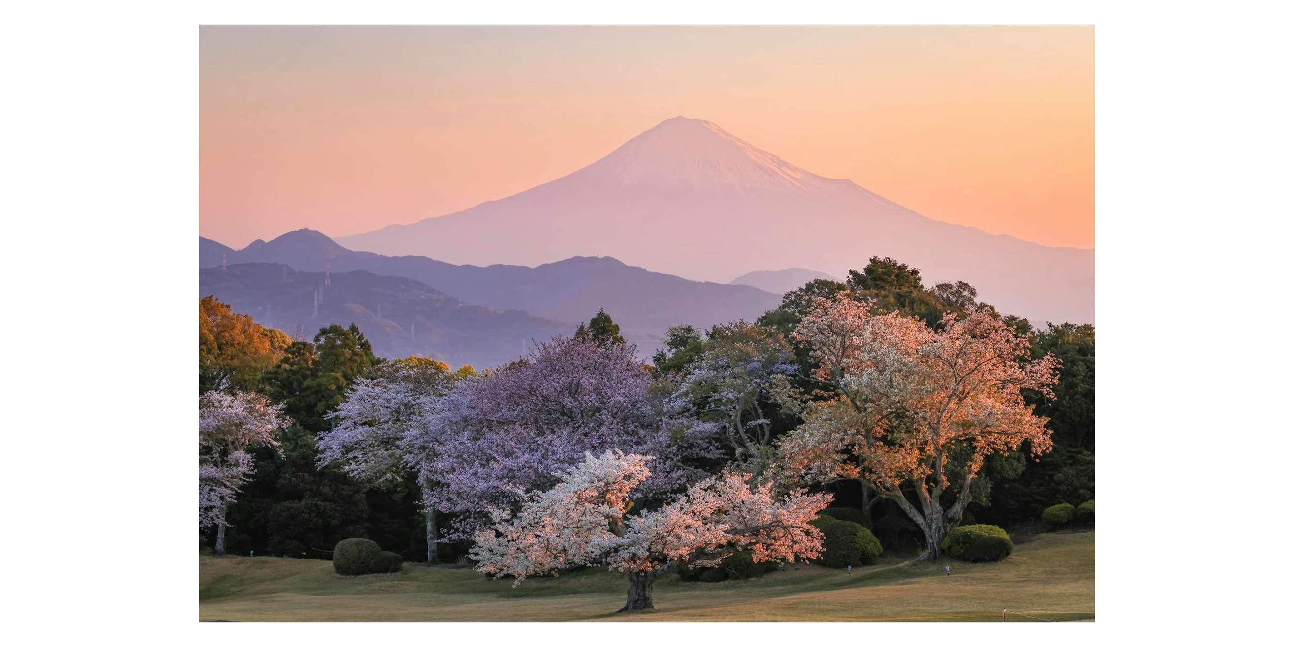 橋向真 追悼写真展「神気 -SHINKI- 新・富士山景」（キヤノン