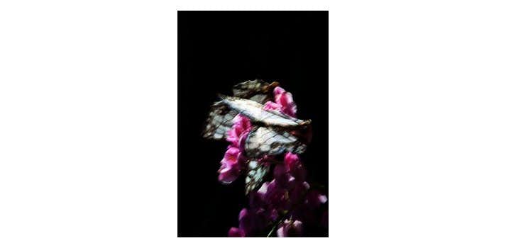 山上新平「KANON」（POETIC SCAPE）｜美術手帖