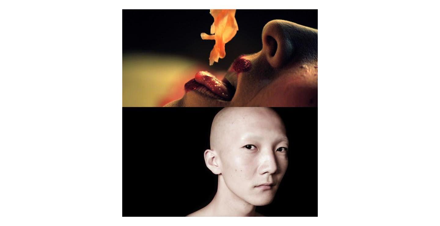 エレナ・ノックス、八島良子「Under the Surface」（ANOMALY