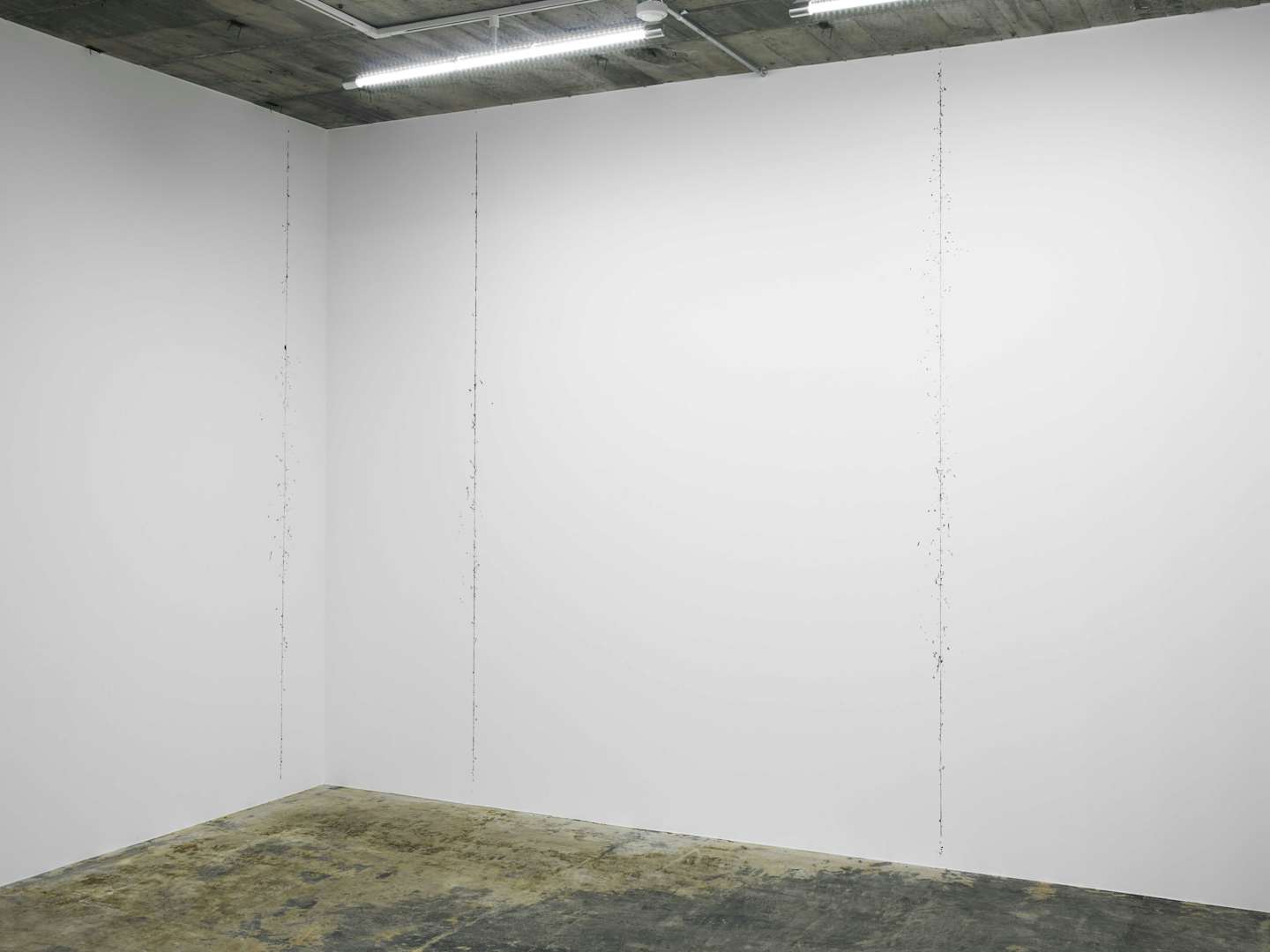 横溝美由紀 個展 集積 Art Office Ozasa 美術手帖 横溝美由紀 個展 集積 Art Office Ozasa 美術手帖