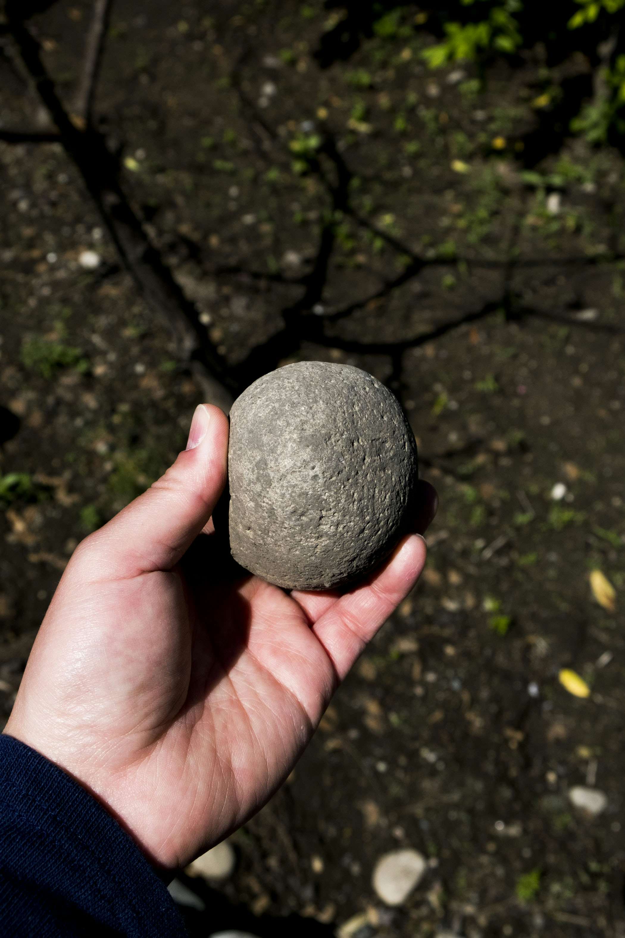 中村裕太 日本ラインの石 岐阜チョウの道 美濃加茂市民ミュージアム 美術手帖