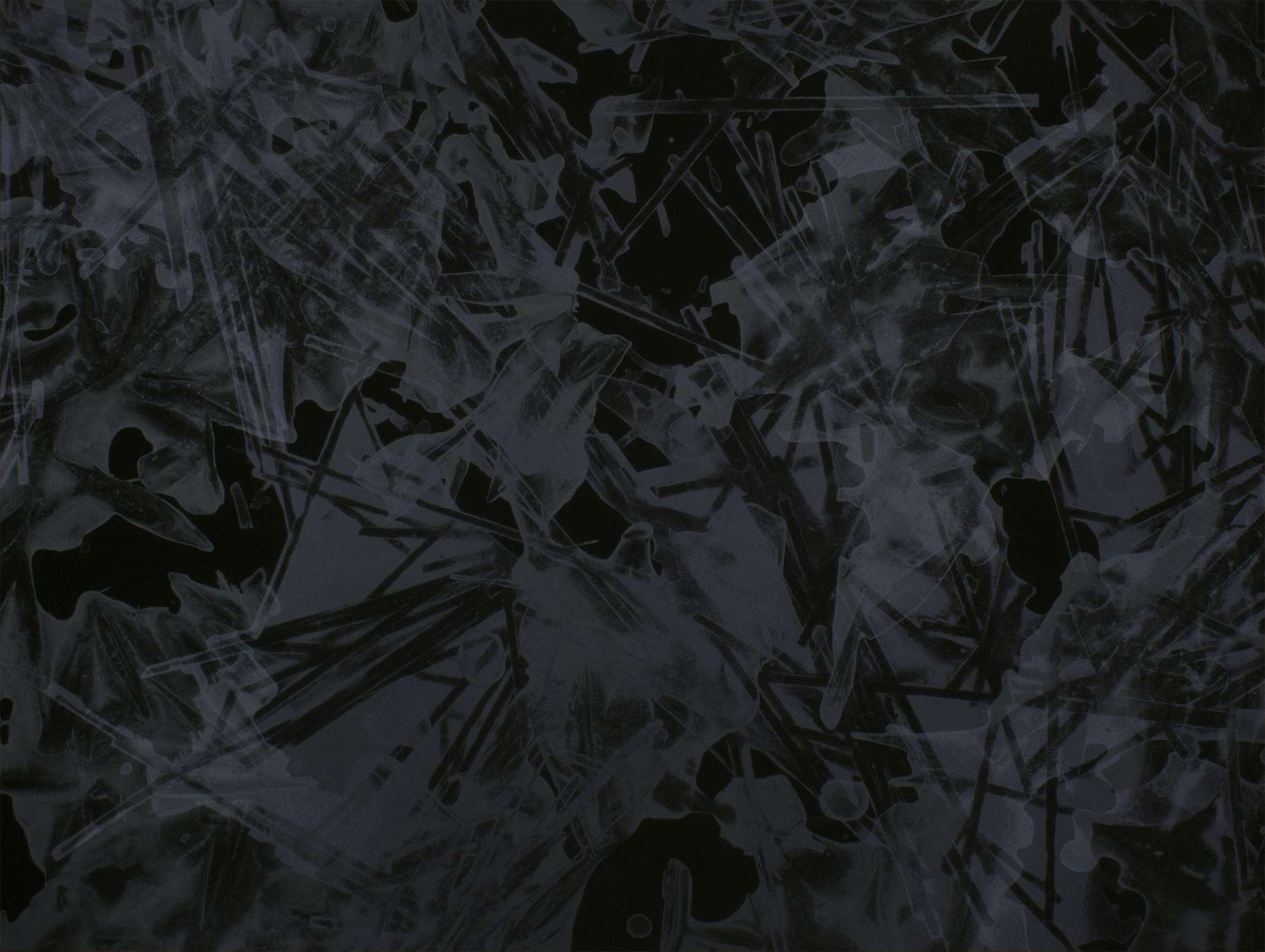 送料無料 通販 激安 名和晃平「Element Black」（ギャラリーノマル）｜美術手帖 - 版画