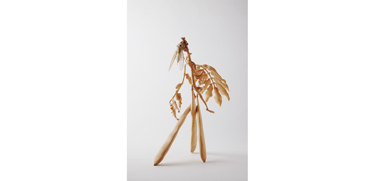 飛べ今すぐ　芸術作品 作品「Lucky Bite」 | ondo