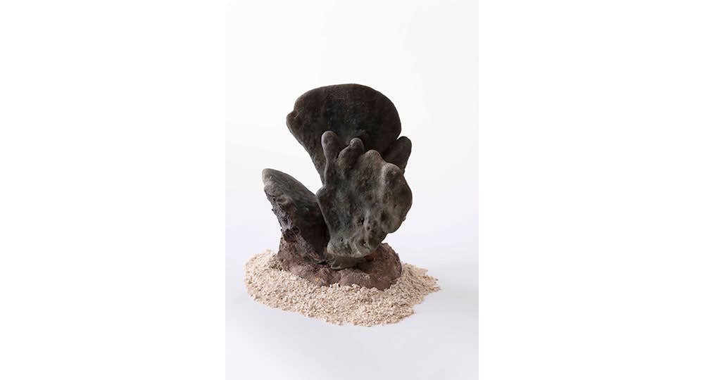 風景の科学 - 芸術と科学の融合 - 」展 （国立科学博物館