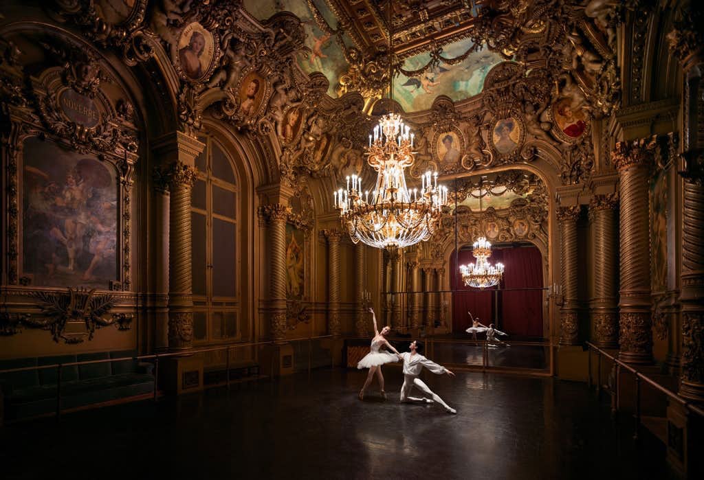 ピエール=エリィ・ド・ピブラック展「In Situ」