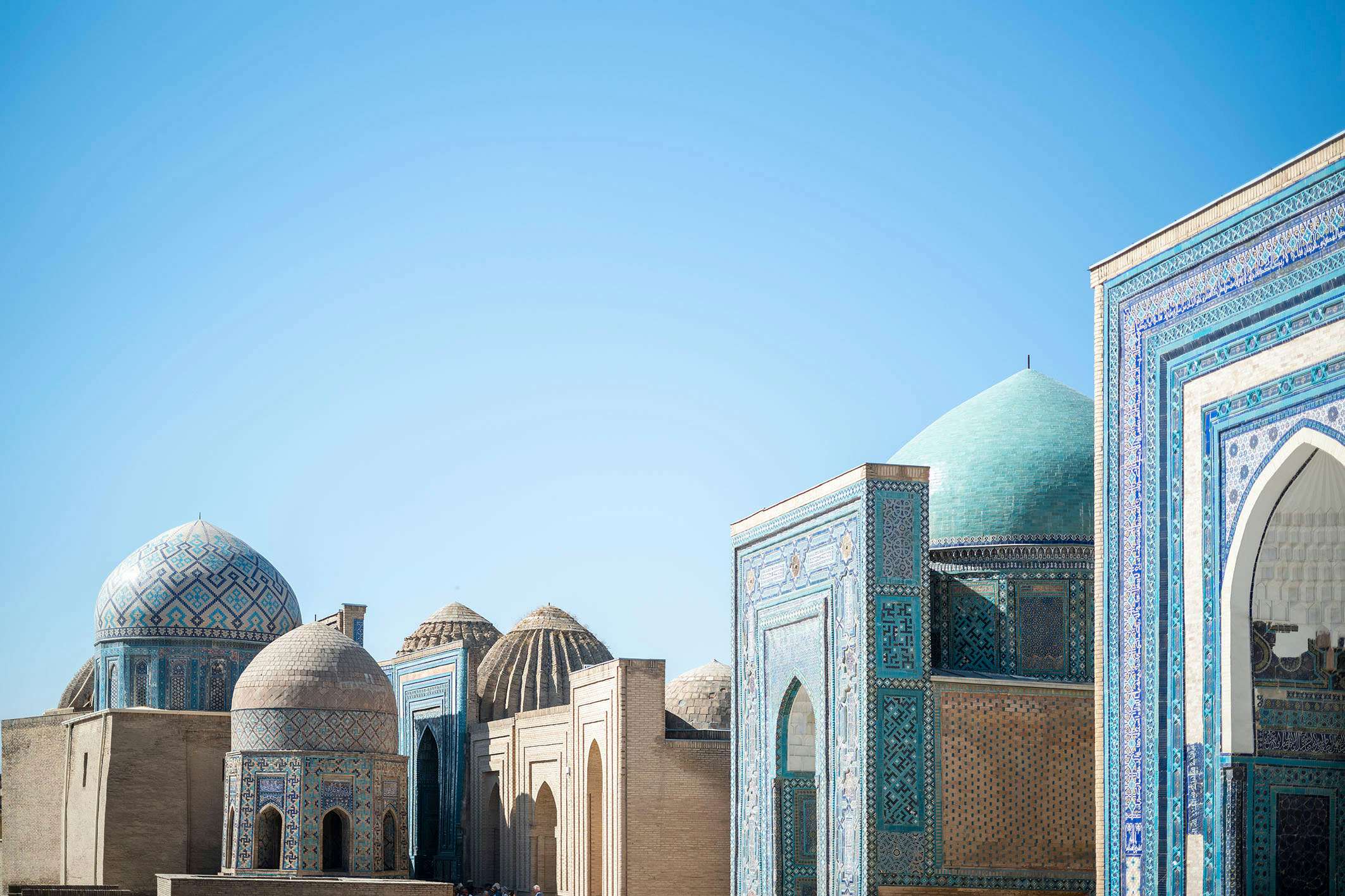 【朝顔に半月図】黒田古郷 2612 アサガオと月夜 掛け軸　肉筆 朝顔に半月図】黒田古郷 2612 アサガオと月夜 掛け軸 肉筆