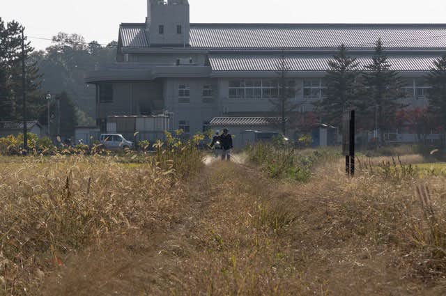 大和田俊個展「破裂OKひろがり」（小山市立車屋美術館）｜美術手帖