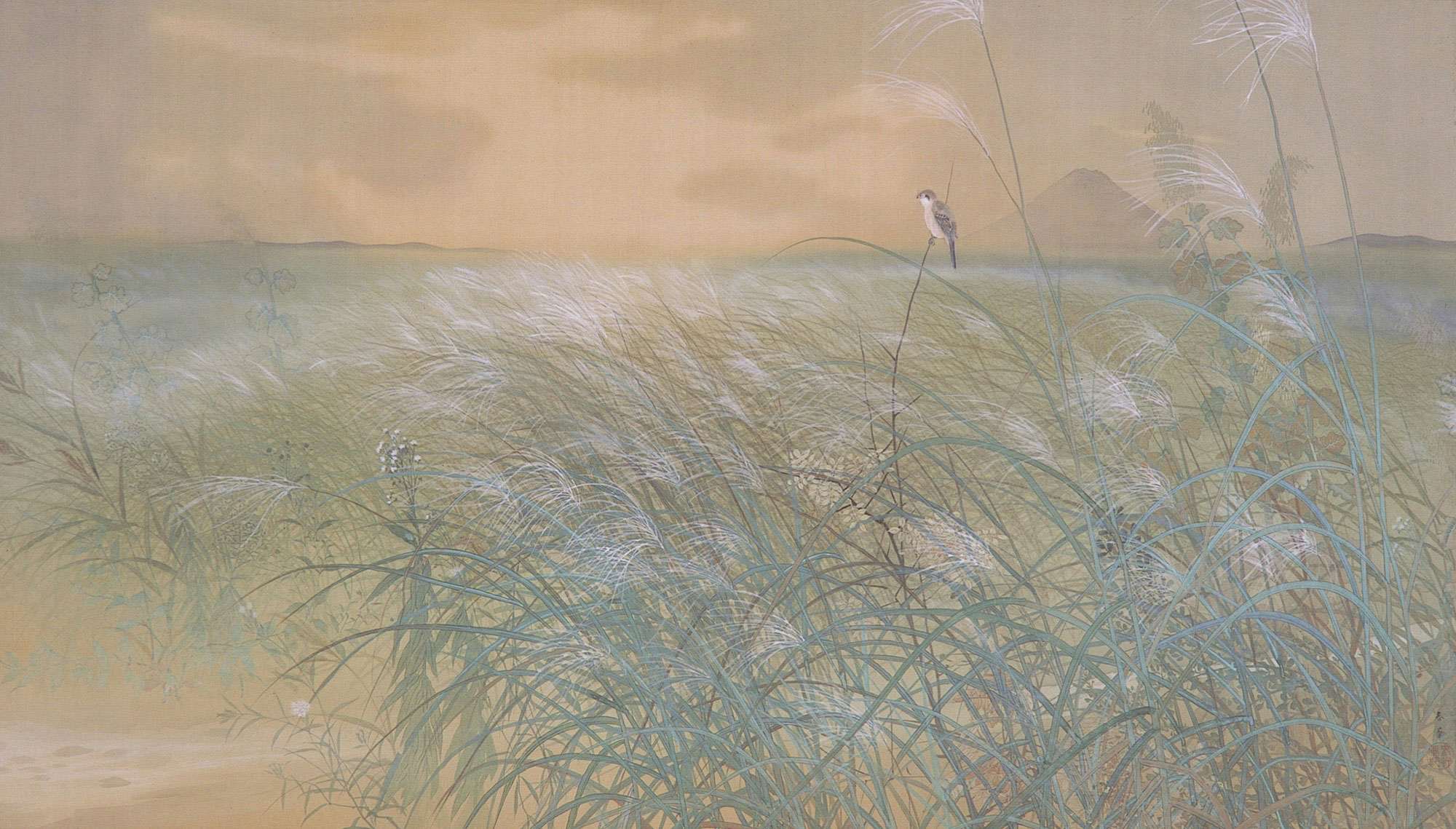 写実 日本画 【白い薔薇】肉筆画 作者不詳