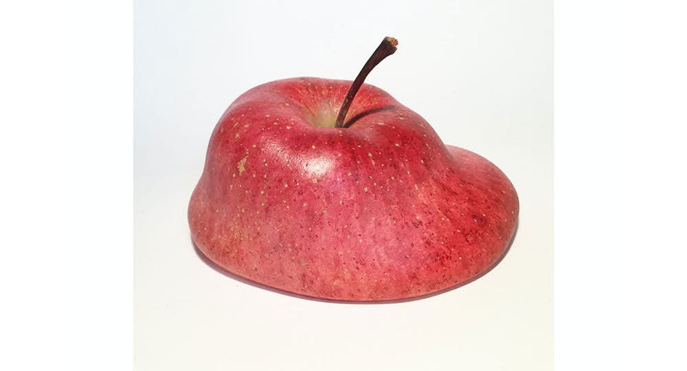 りんご宇宙 ―Apple Cycle / Cosmic Seed（弘前れんが倉庫美術館 