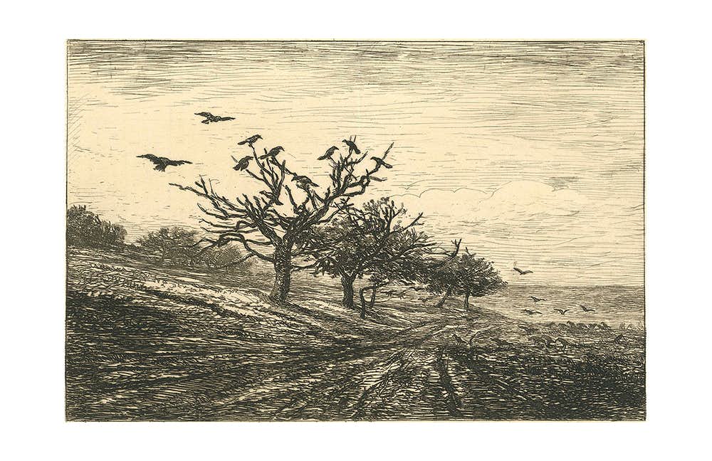 マルコザンブレリ MARCOZAMBRLLI 作品 絵画 風景画 マルコザンブレリ MARCOZAMBRLLI 作品 絵画 風景画(風景画の