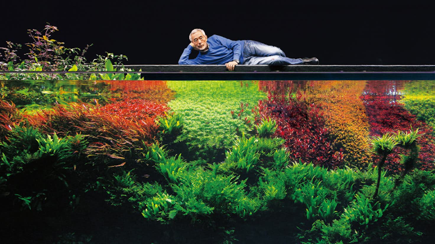 天野尚 Nature Aquarium展 Gallery mo 美術手帖 天野尚 Nature Aquarium展 Gallery mo 美術手帖