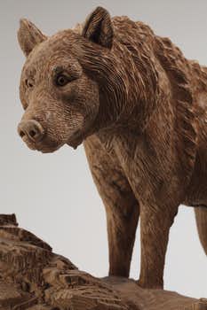 現れよ。森羅の生命― 木彫家 藤戸竹喜の世界（札幌芸術の森美術館
