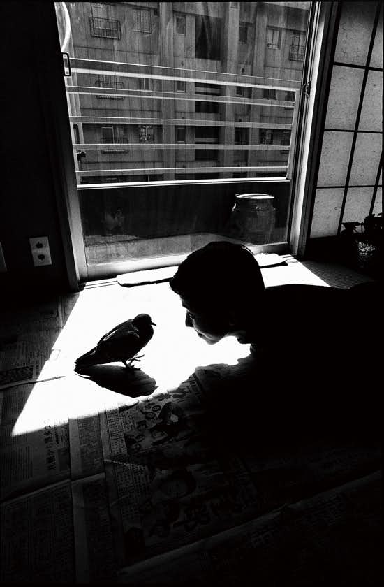 細江英公 個展（YOD Gallery）｜美術手帖