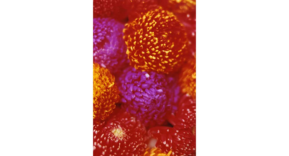美術手帖 2008年11月号 蜷川実花 美術手帖 2008年 11月号 蜷川実花による蜷川実花 | 株式会社美術