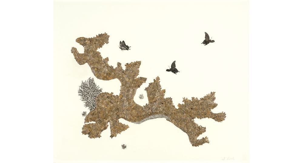 第8回山本鼎版画大賞展（サントミューゼ 上田市立美術館 2階