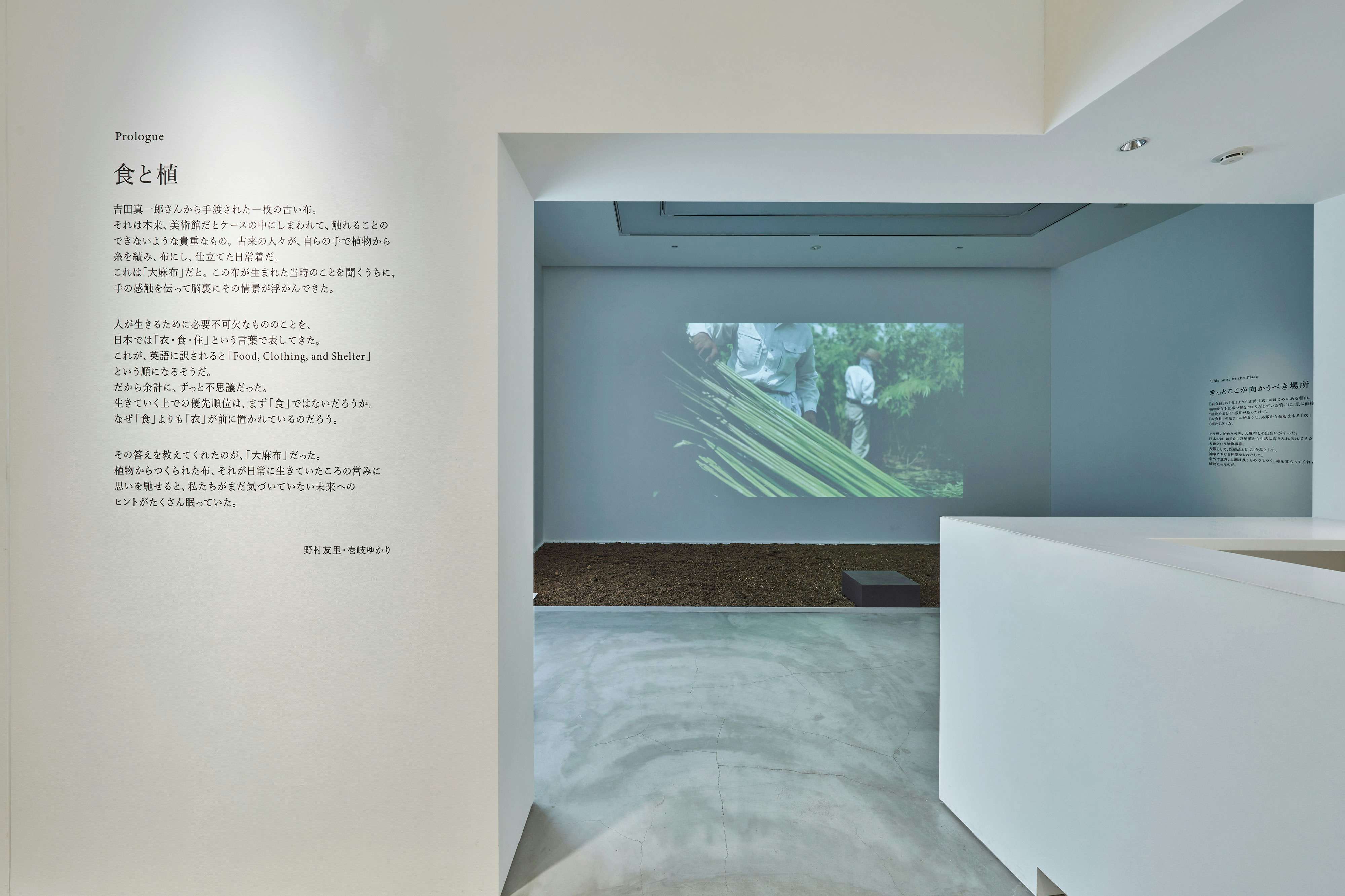 Life Is Beautiful 衣 食植 住 Gyre Gallery 美術手帖