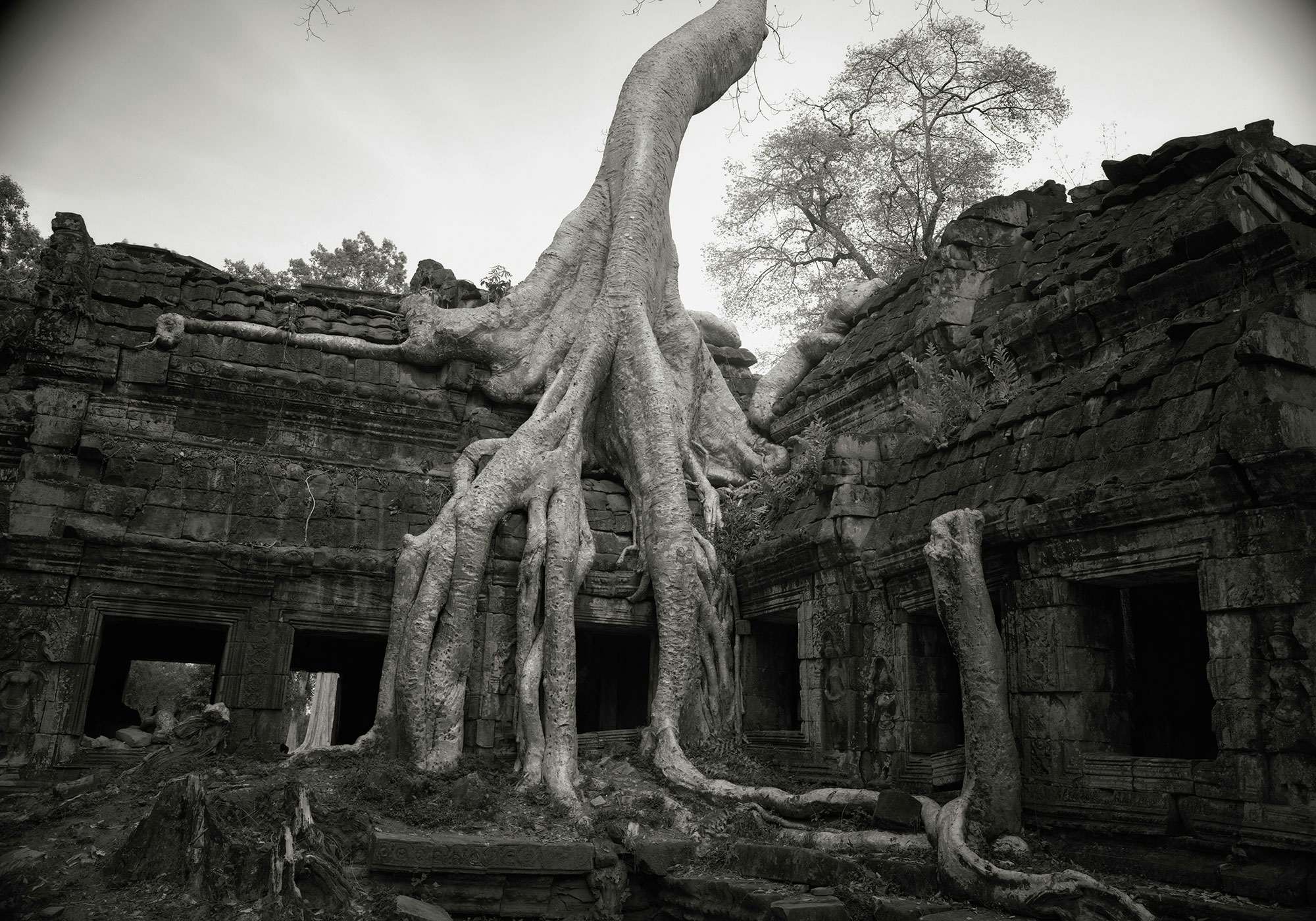 アジアの聖地 ―井津建郎 プラチナ・プリント写真展―（半蔵門ミュージアム）｜美術手帖