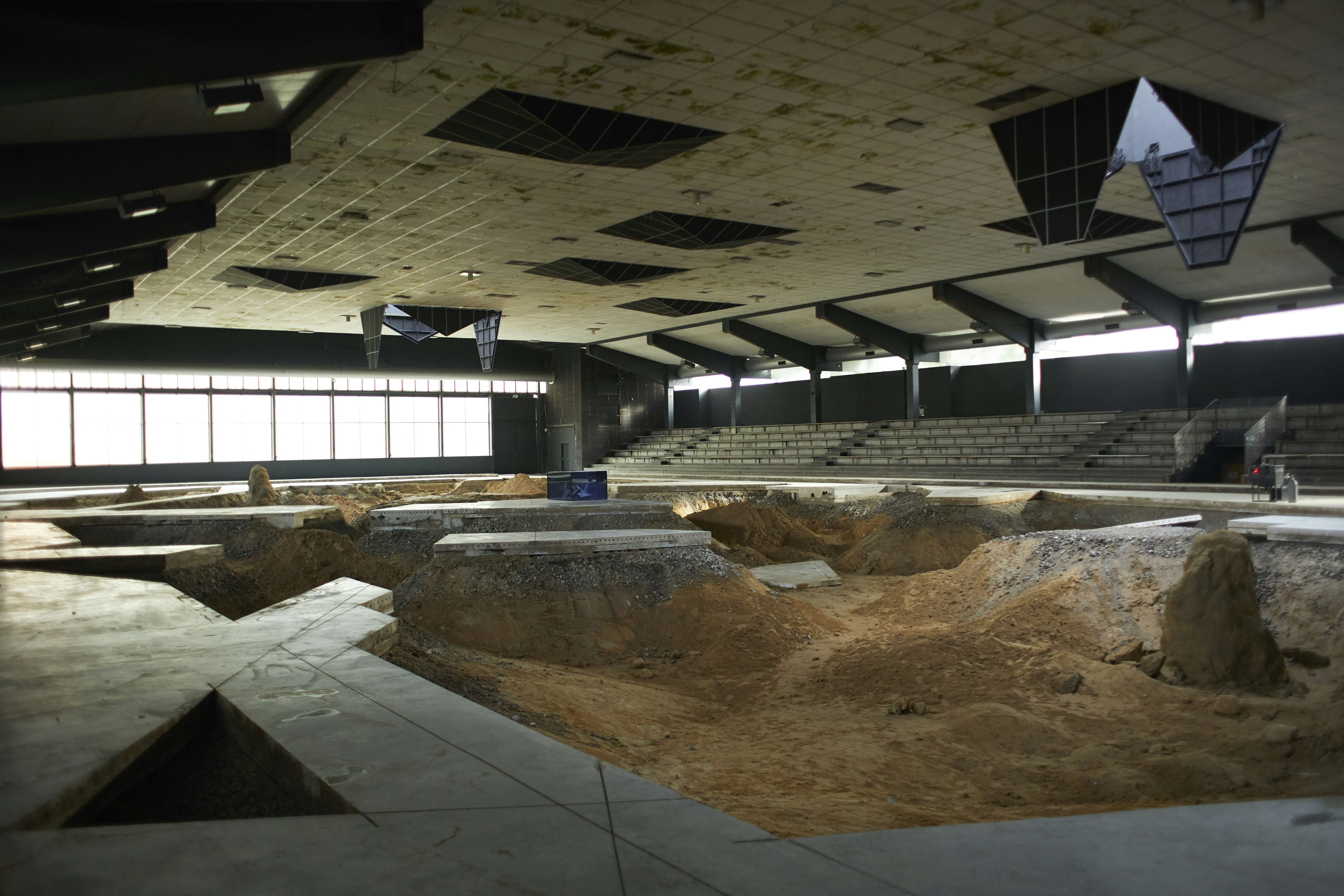 ピエール・ユイグが岡山芸術交流で目指すもの。「超個体(スーパーオーガニズム)」とは何か?