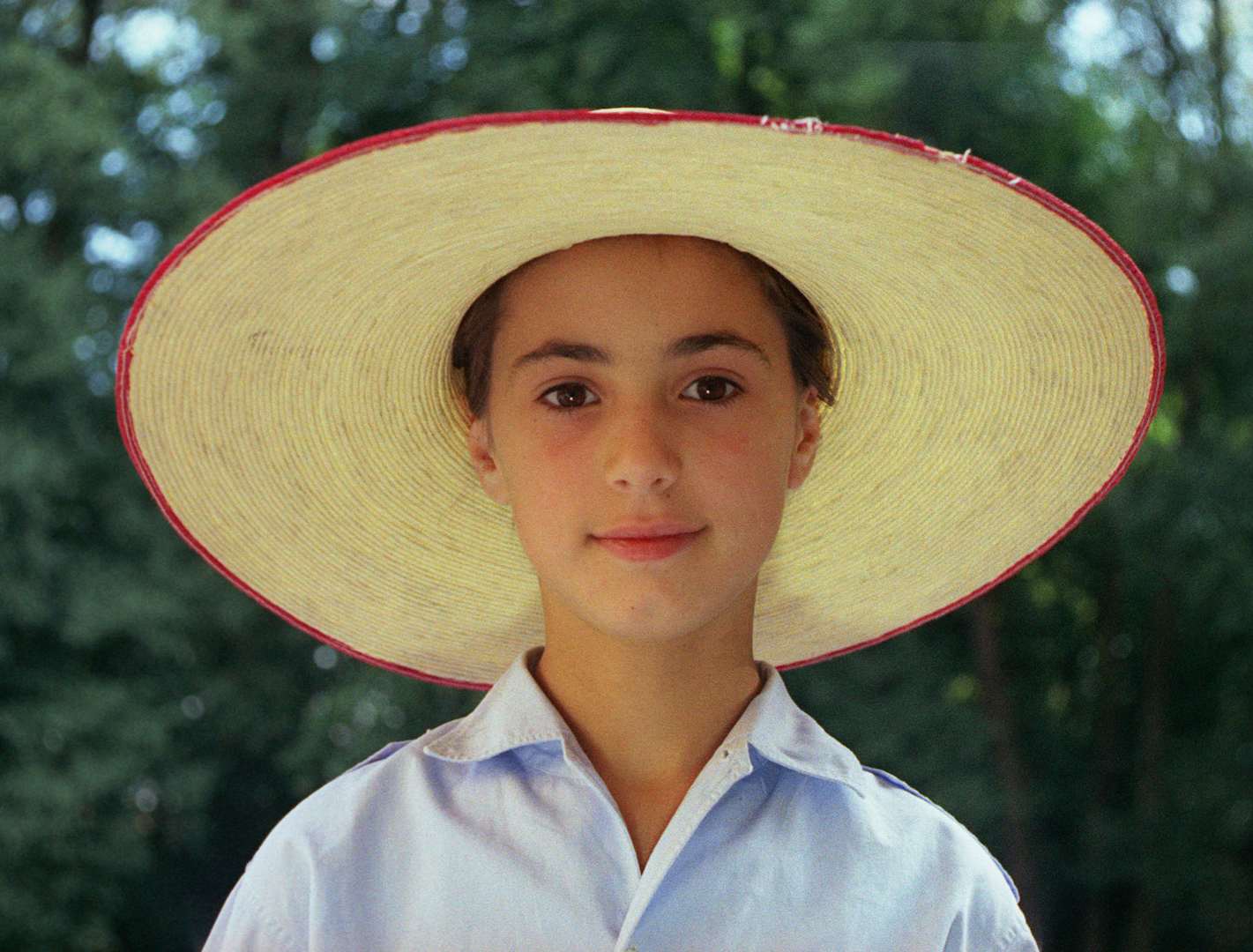 ベルナルド ベルトルッチ作 暗殺のオペラ がリバイバル 写真美術館が3週間の特別上映を実施 美術手帖 ベルナルド ベルトルッチ作 暗殺のオペラ がリバイバル 写真美術館が3週間の特別上映を実施 美術手帖