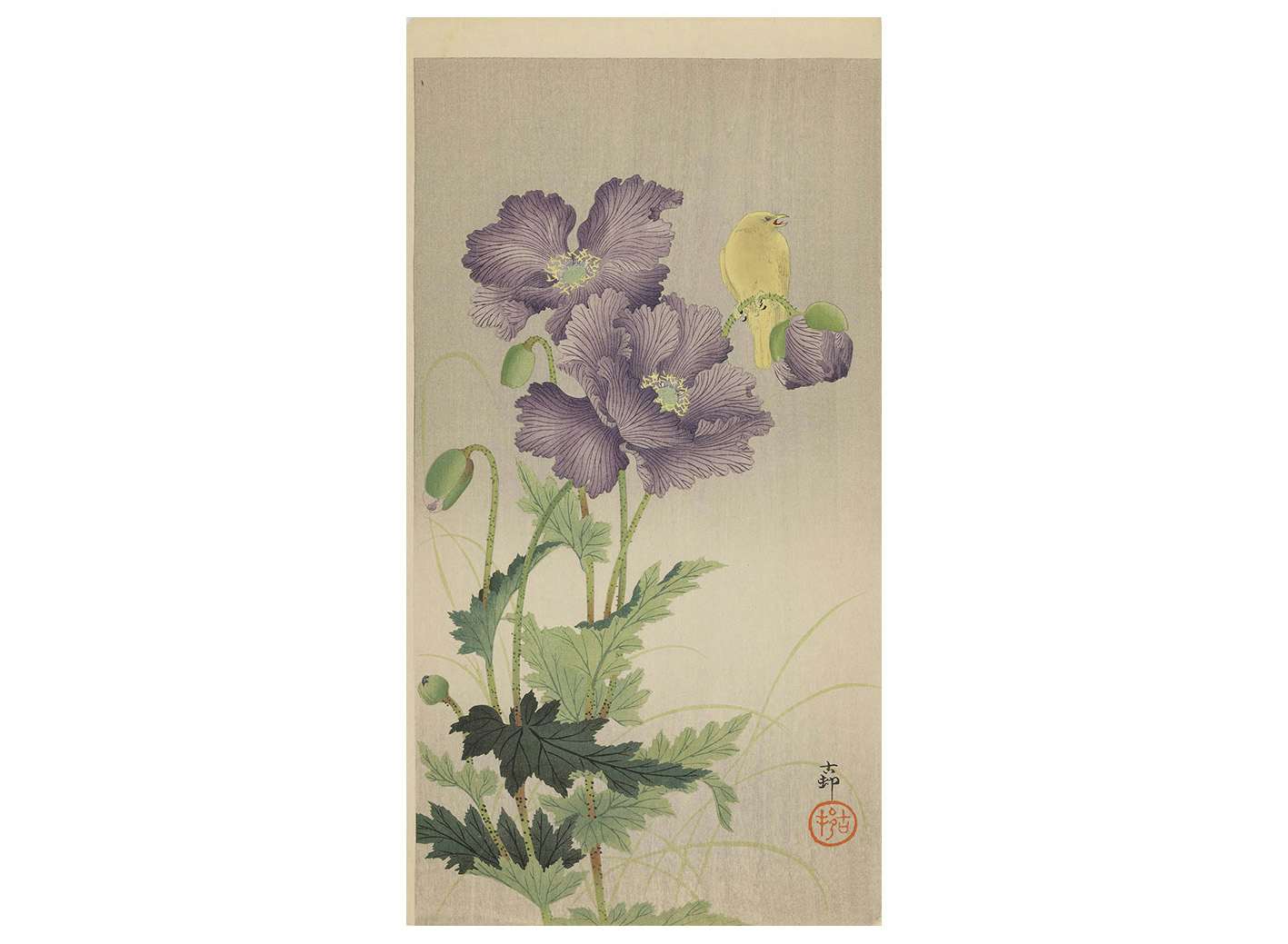 唯一無二の木版花鳥画に魅せられる。花鳥画の名手・小原古邨の国内最大級の展覧会が茅ヶ崎市美術館で開催｜美術手帖