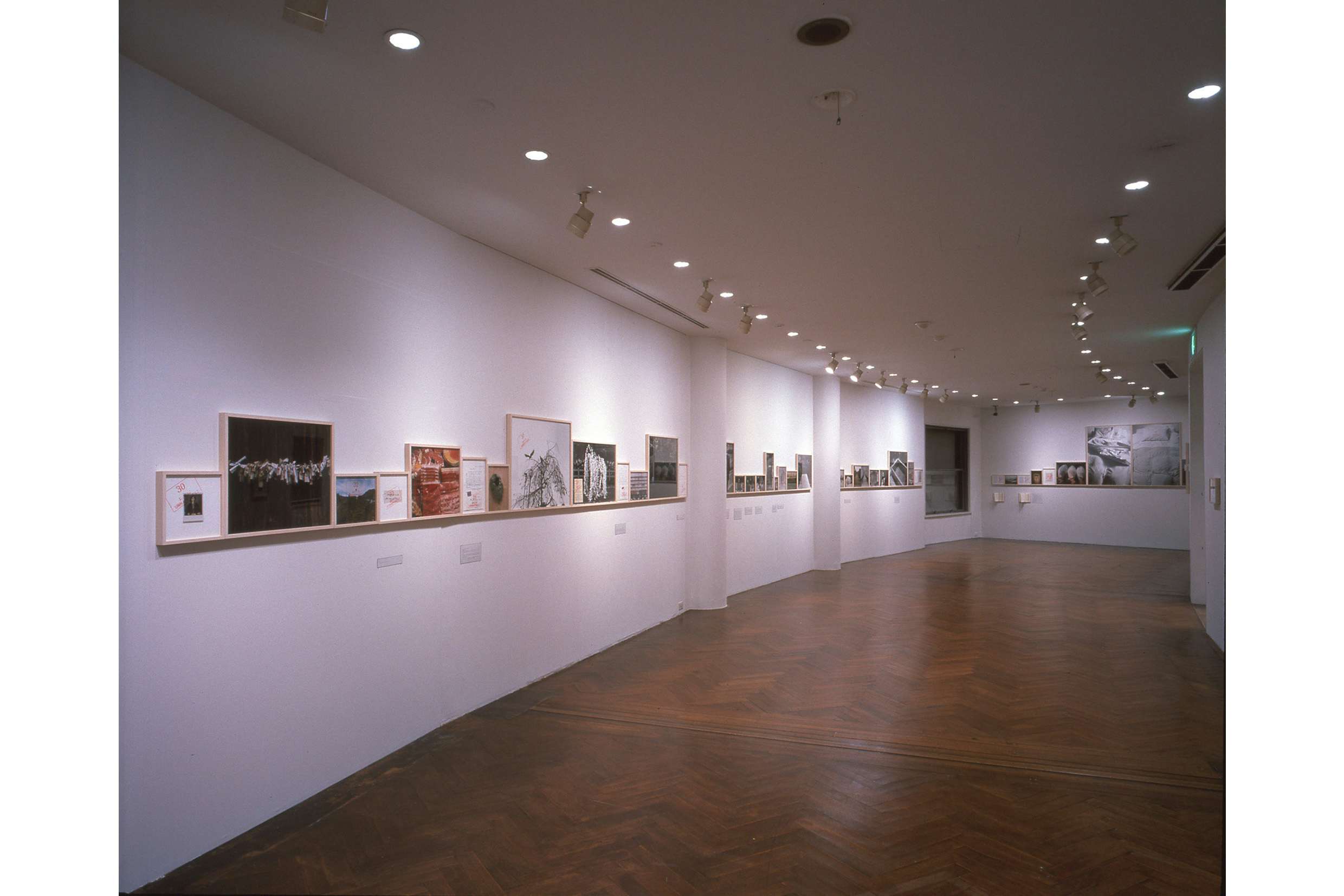 ソフィ・カルによる19年前の個展を再現。原美術館で「限局性激痛」が