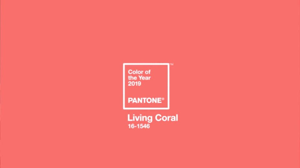 PANTONE パントーン FHI 色見本 全2,310色 www.medikay.com.pk