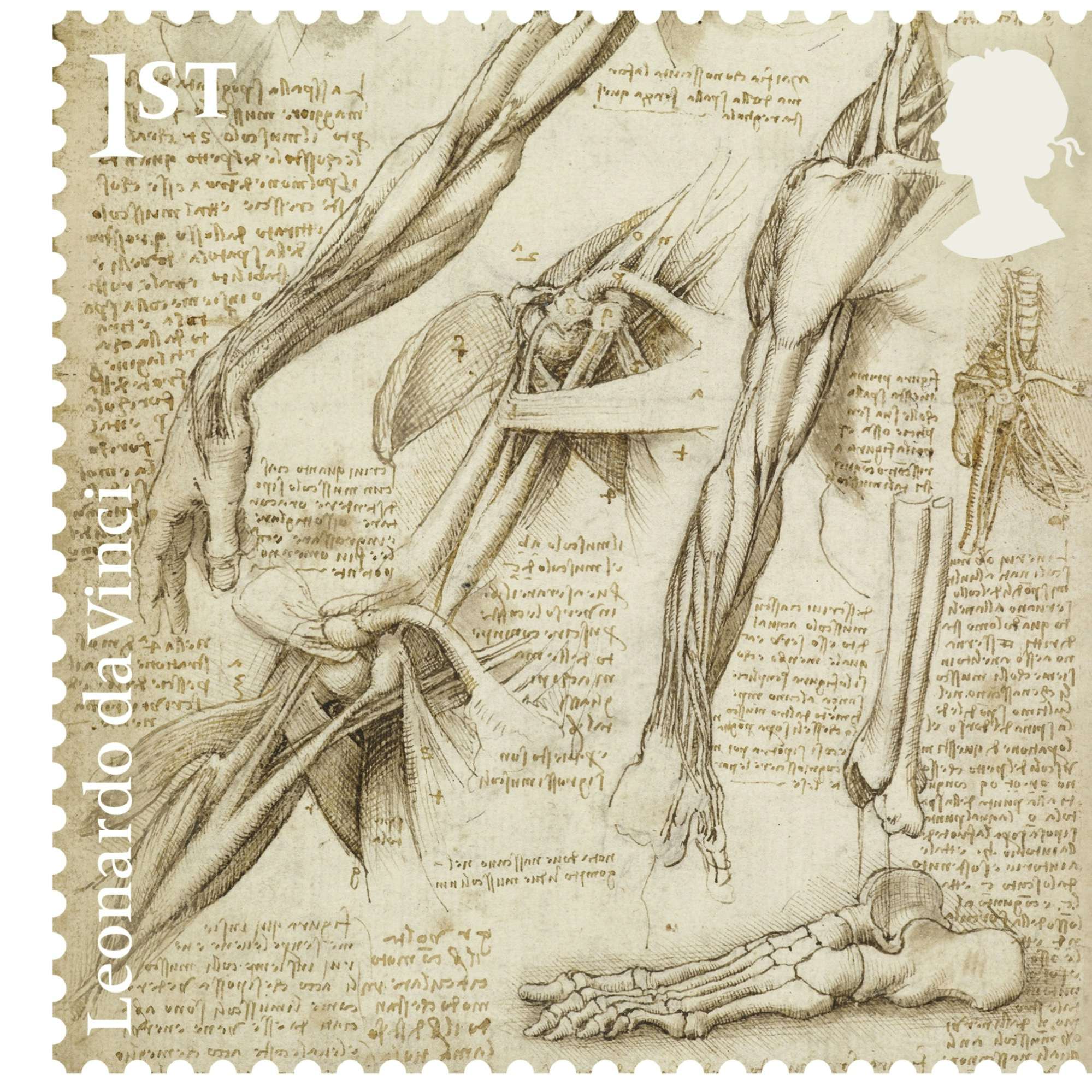 レオナルド ダ ヴィンチのドローイングが記念切手に イギリスのロイヤル メールが発売 美術手帖 レオナルド ダ ヴィンチのドローイングが記念切手に イギリスのロイヤル メールが発売 美術手帖