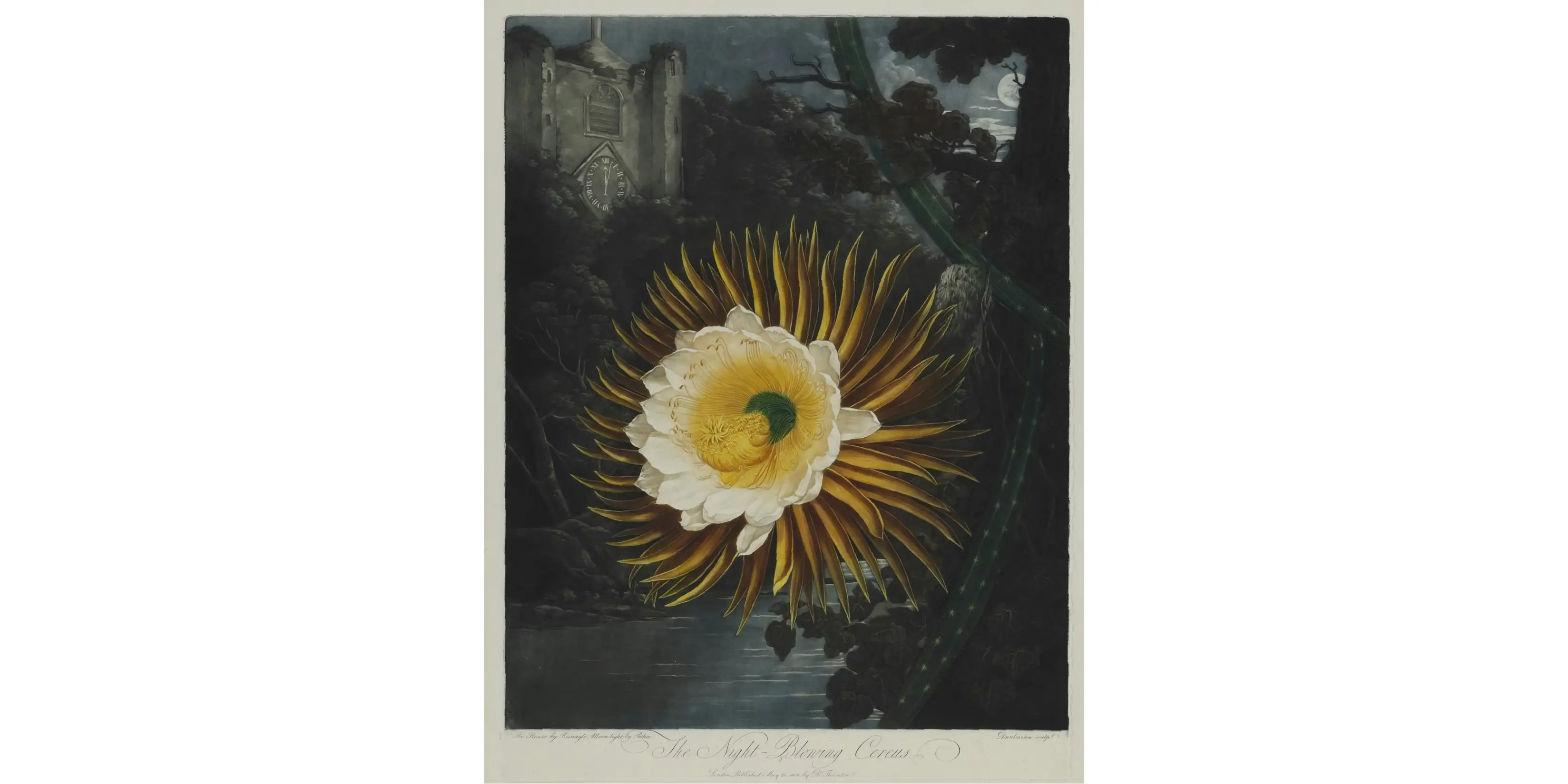 植物図鑑の至宝 フローラの神殿 も同時に展覧 齋藤芽生の大規模個展が目黒区美術館で開催中 画像ギャラリー 5 5 美術手帖