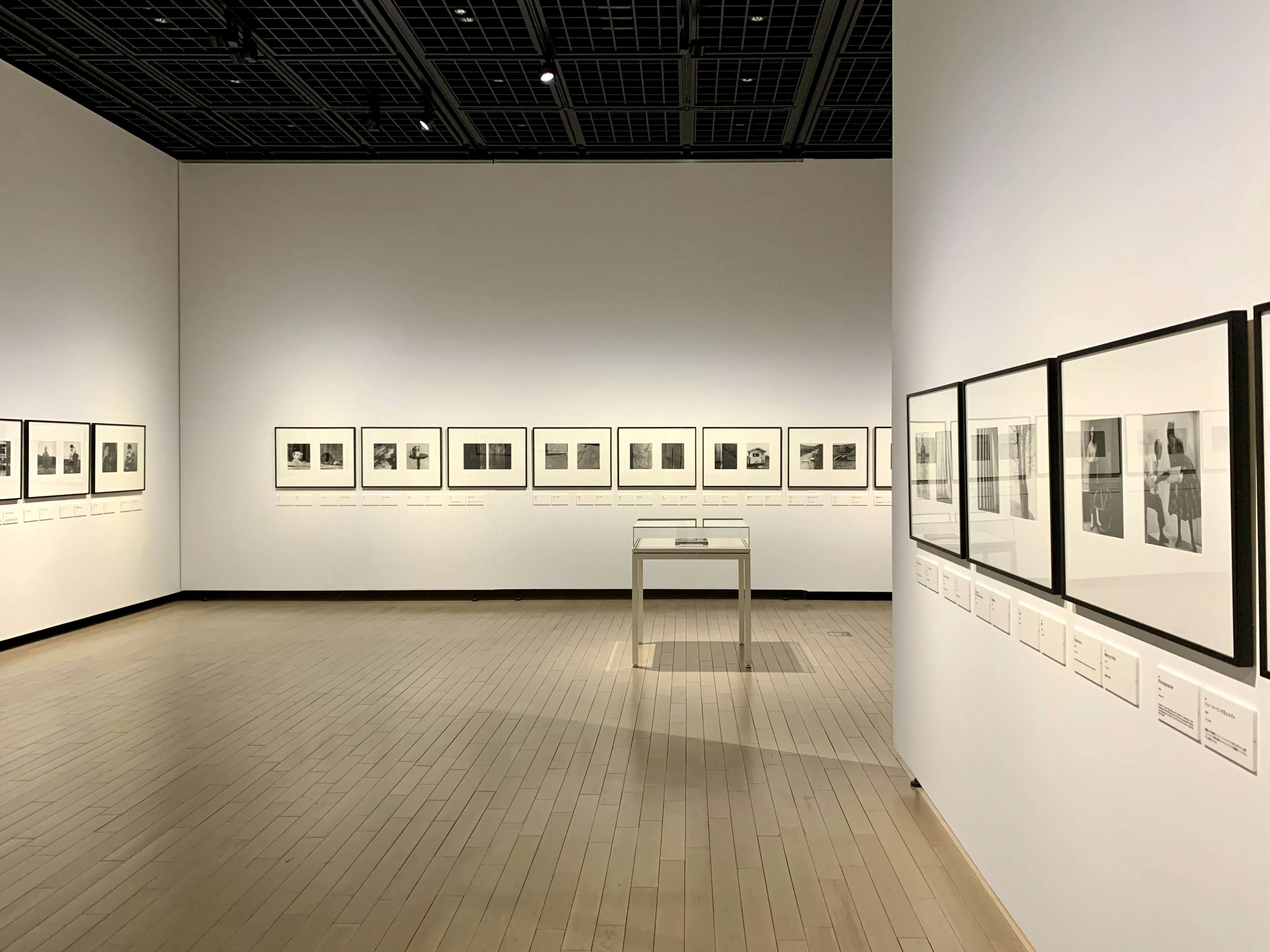 女性写真家の草分け・山沢栄子が見せる抽象写真。東京都写真美術館で