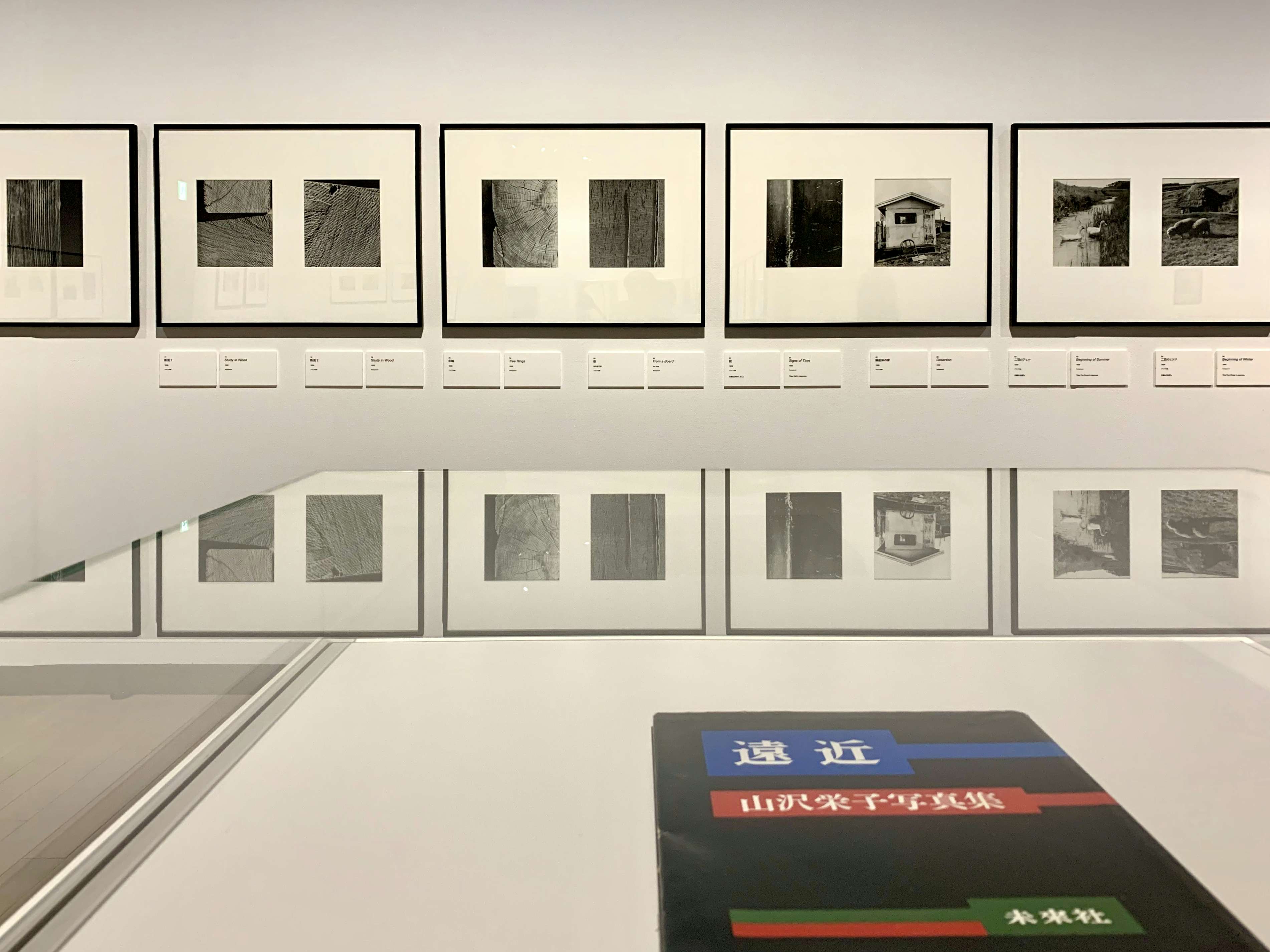 女性写真家の草分け・山沢栄子が見せる抽象写真。東京都写真美術館で