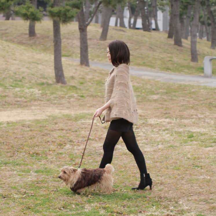 生きものとともにつくる作品に結晶する生と死 逆卷しとね評 Aki Inomata 相似の詩学 異種協働のプロセスとゆらぎ 展 美術手帖 生きものとともにつくる作品に結晶する生と死 逆卷しとね評 Aki Inomata 相似の詩学 異種協働のプロセスとゆらぎ 展 美術手帖
