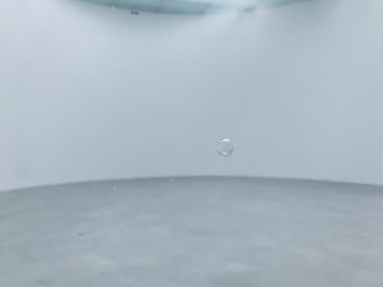 「内藤礼　うつしあう創造」が金沢21世紀美術館で開幕。過去最大規模の個展で「創造」と向き合う