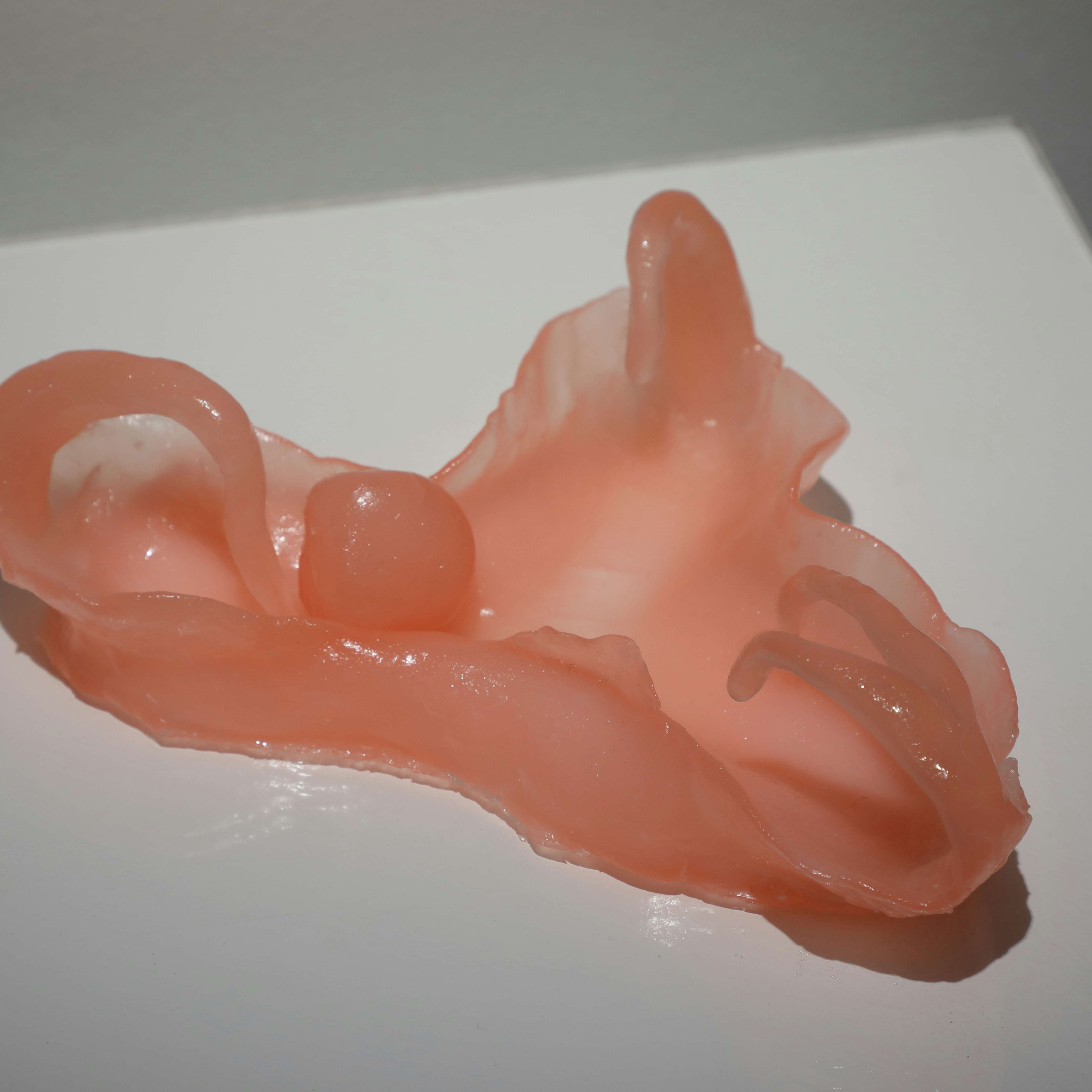 女性器が 選ばれない 世界で 小田原のどか評 遠藤麻衣 百瀬文 新水晶宮 美術手帖 女性器が 選ばれない 世界で 小田原のどか評 遠藤麻衣 百瀬文 新水晶宮 美術手帖