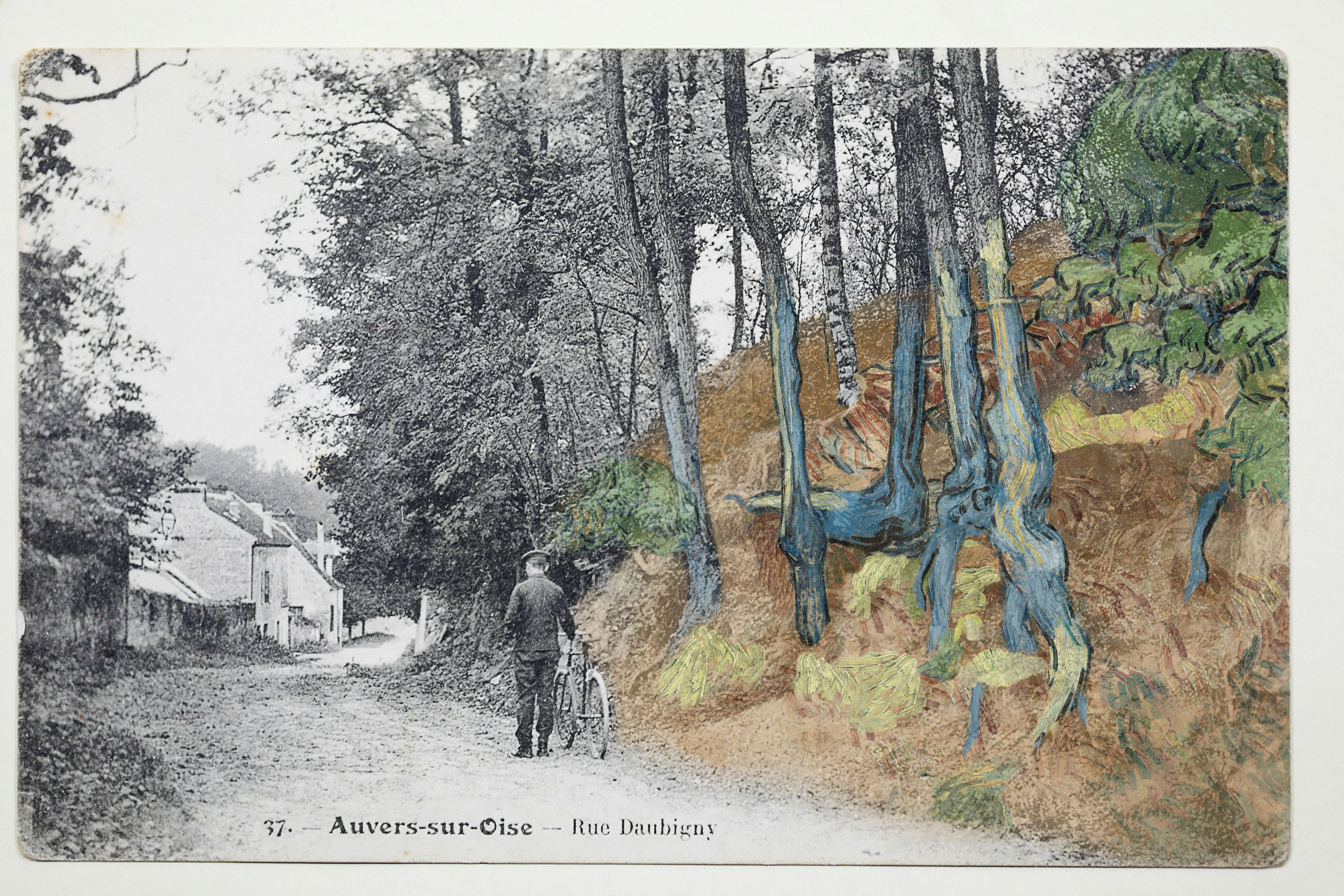 ゴッホ最後の作品《木の根と幹》が描かれた場所を特定。「非常に信憑性高い」｜美術手帖