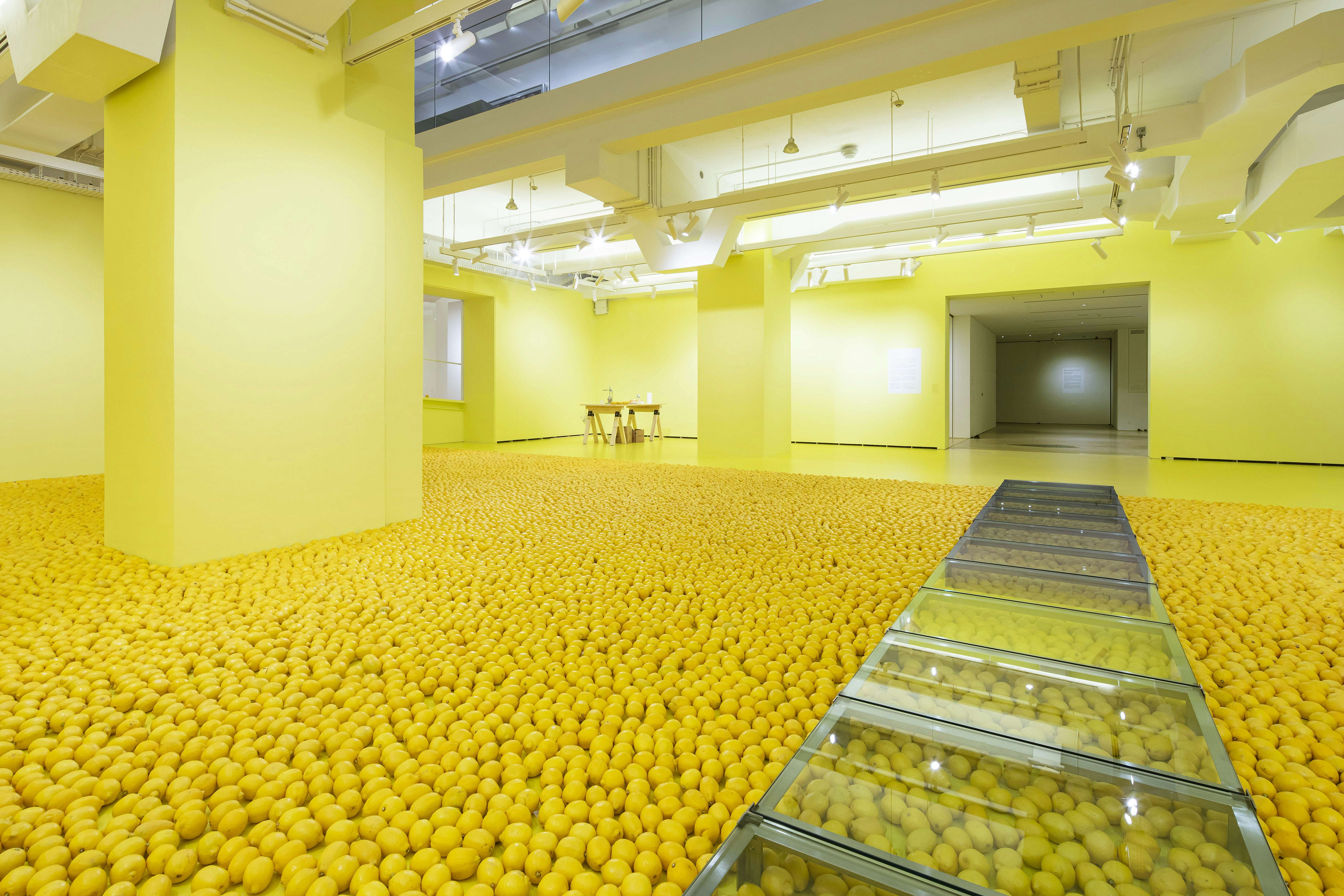 芳香が充満する展示室のなかで AKI INOMATA評「廣瀬智央 地球はレモン 