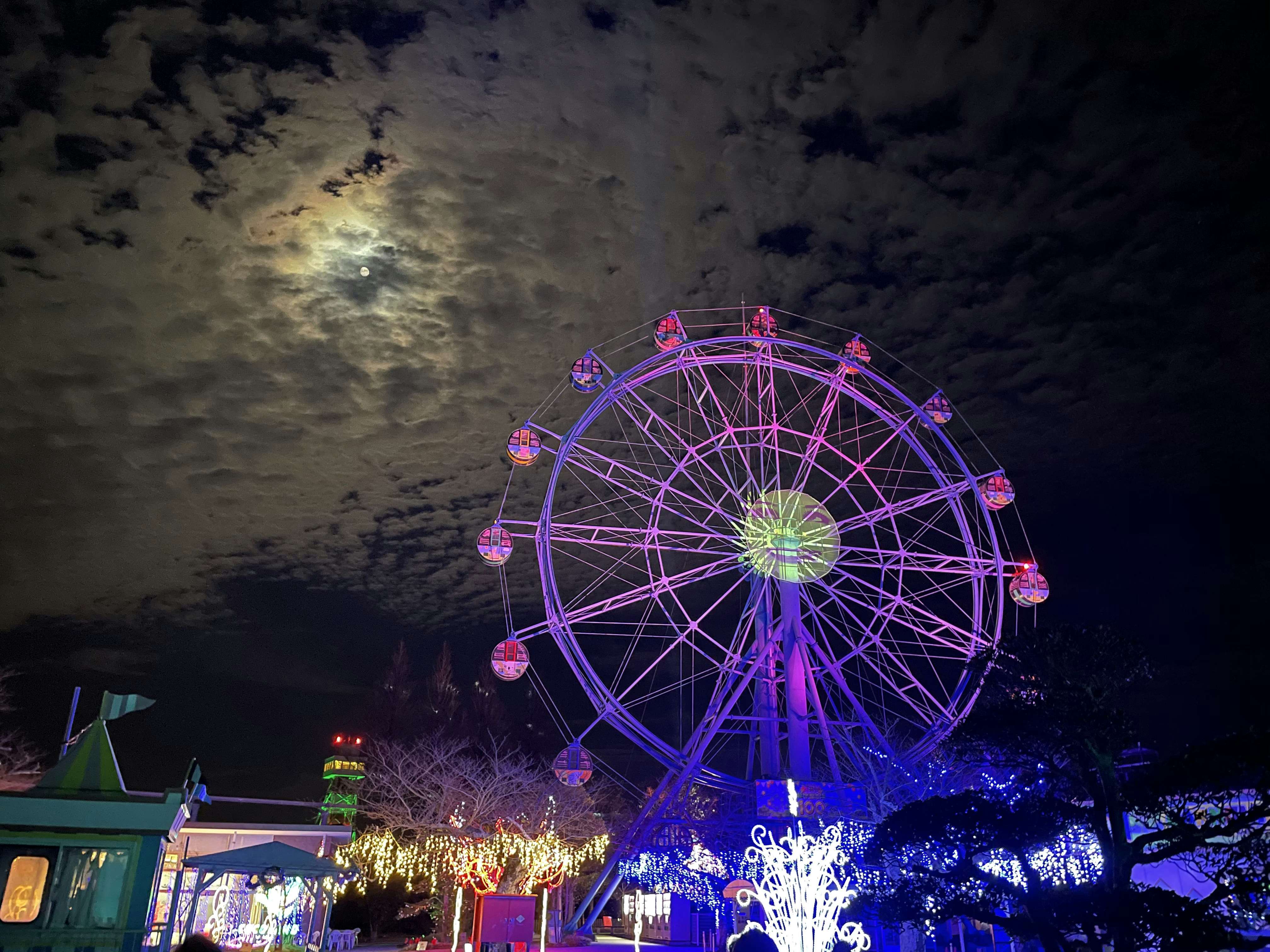 夜の遊園地をメディア・アートで彩る。山口県宇部市の「TOKIWA