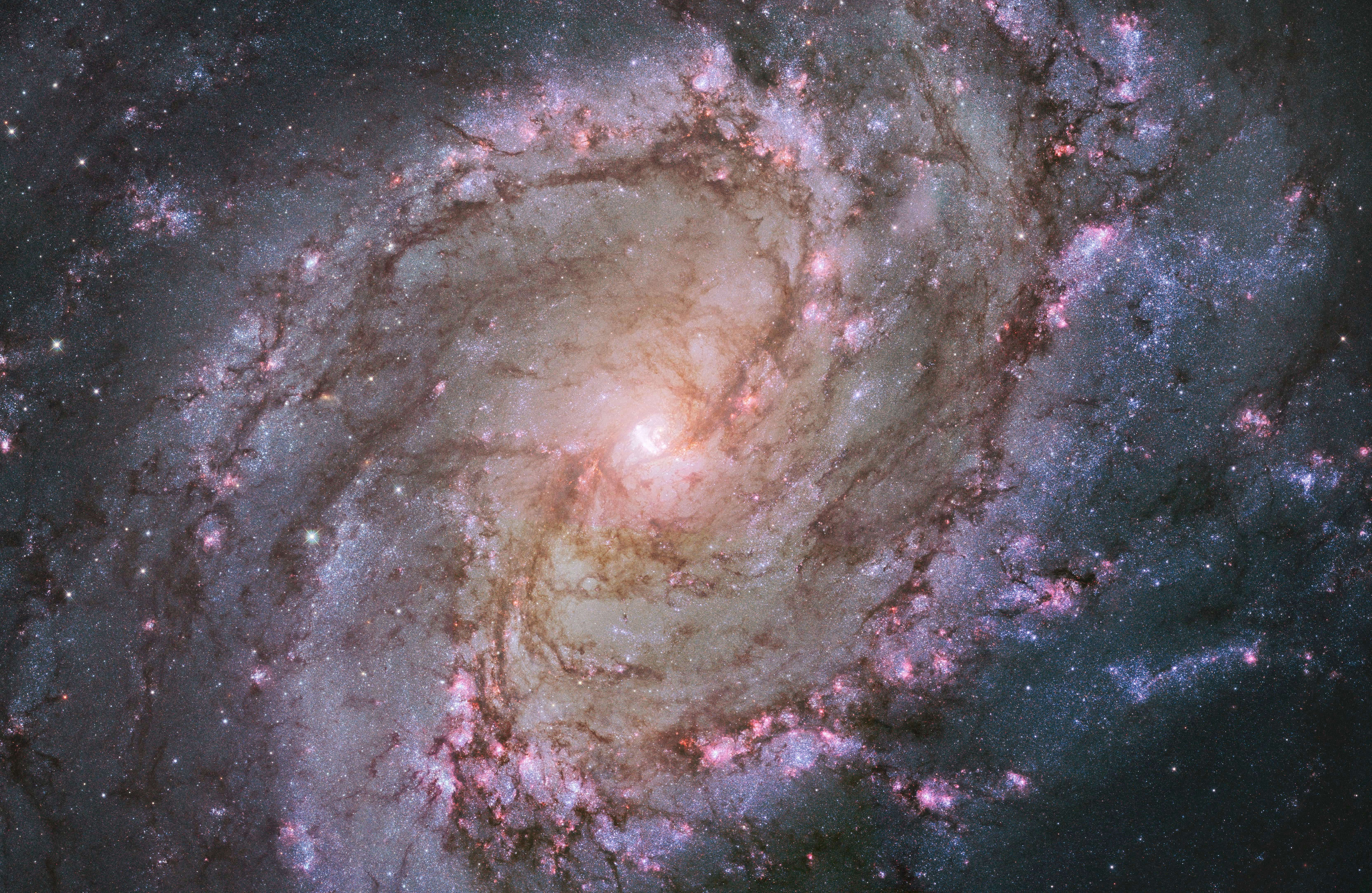 宇宙のスカラー的構造―“見えない世界”を観る科学の構想 | 実藤遠